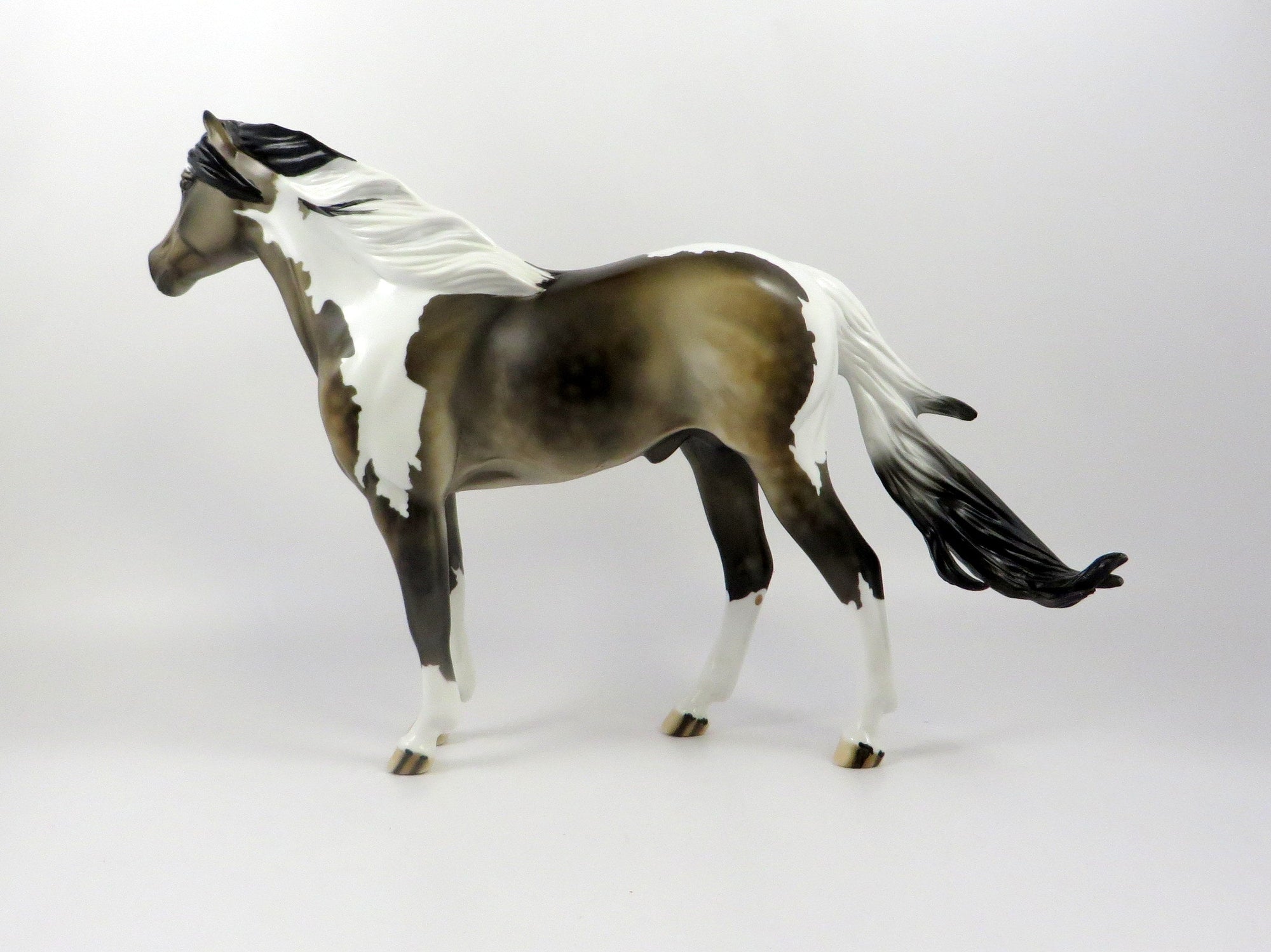 ELUSIVE-OOAK SOOTY BUCKSKIN PAINT SPANISH MUSTANG 7/25/19
