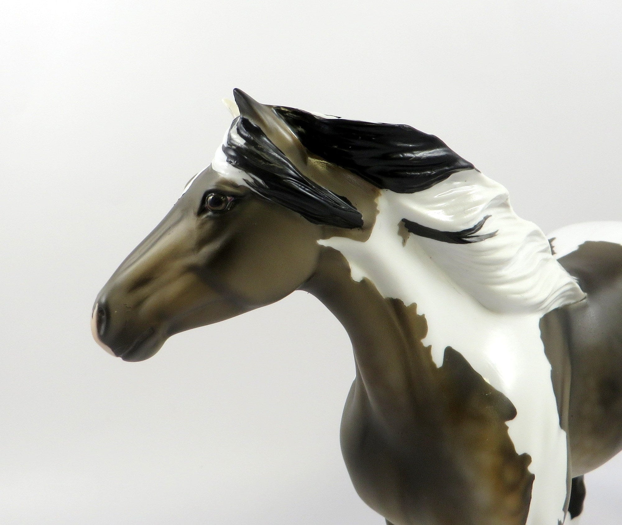 ELUSIVE-OOAK SOOTY BUCKSKIN PAINT SPANISH MUSTANG 7/25/19