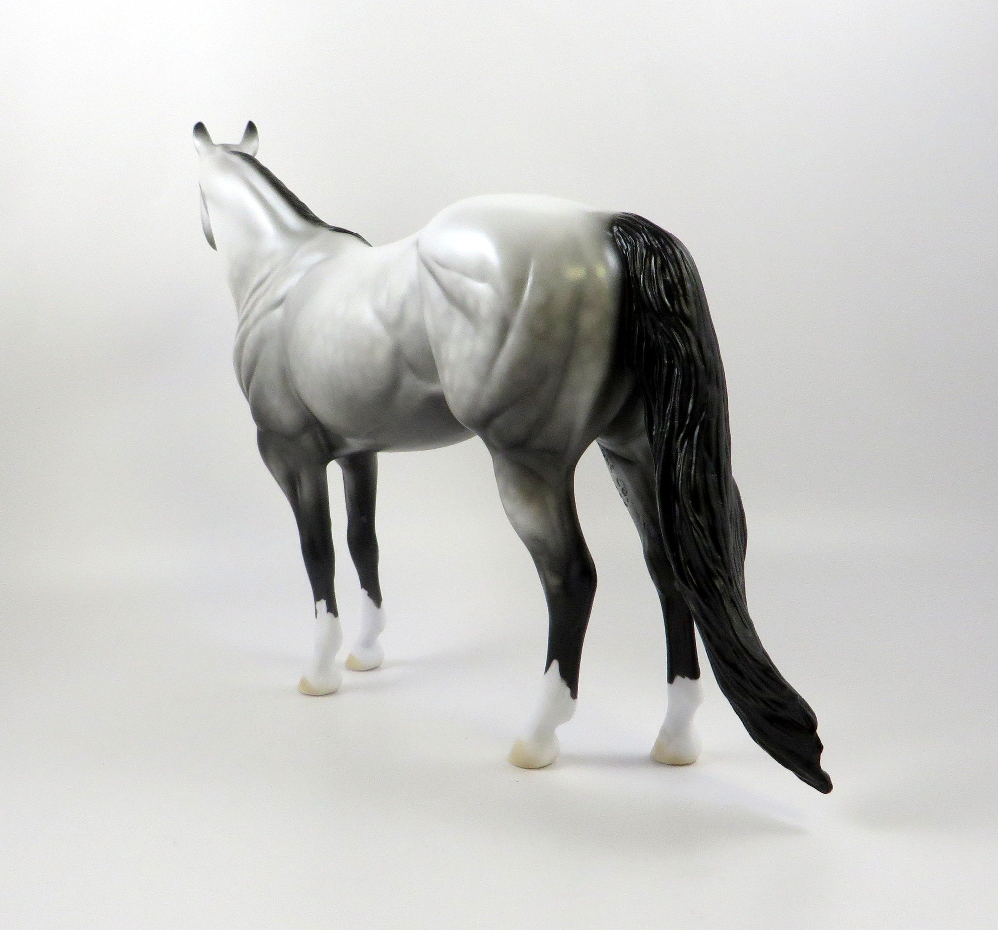 COSTAL SUNSET-OOAK DAPPLE GREY ISH MODEL HORSE 7/25/19