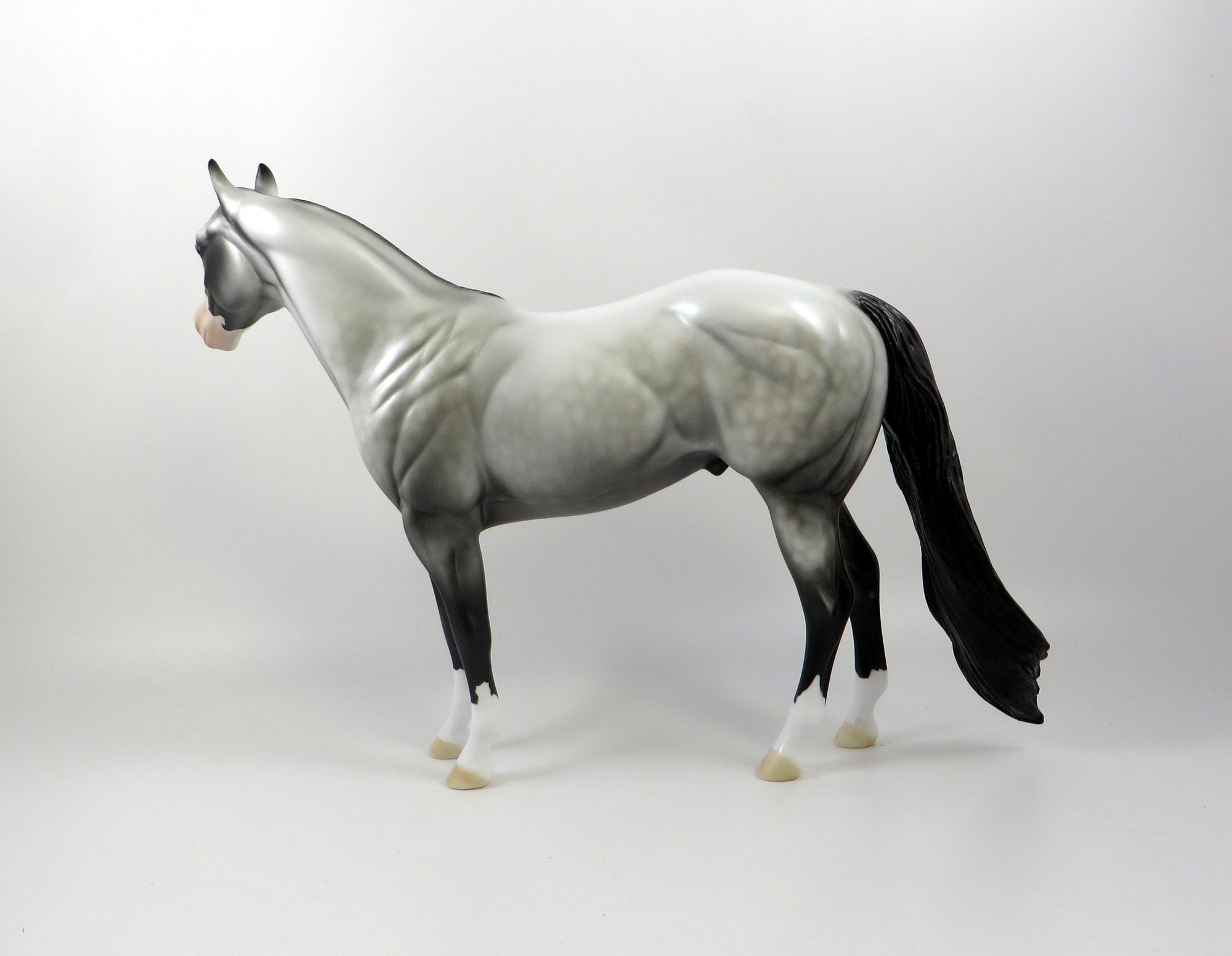 COSTAL SUNSET-OOAK DAPPLE GREY ISH MODEL HORSE 7/25/19