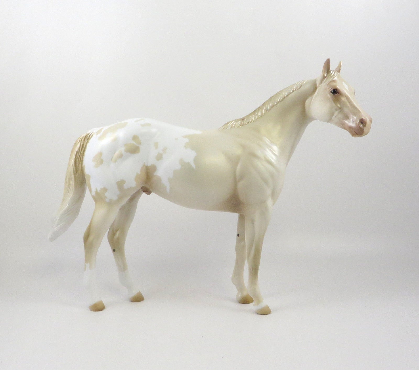 DESCARO-OOAK PERLINO APPALOOSA ISH MODEL HORSE 7/24/19