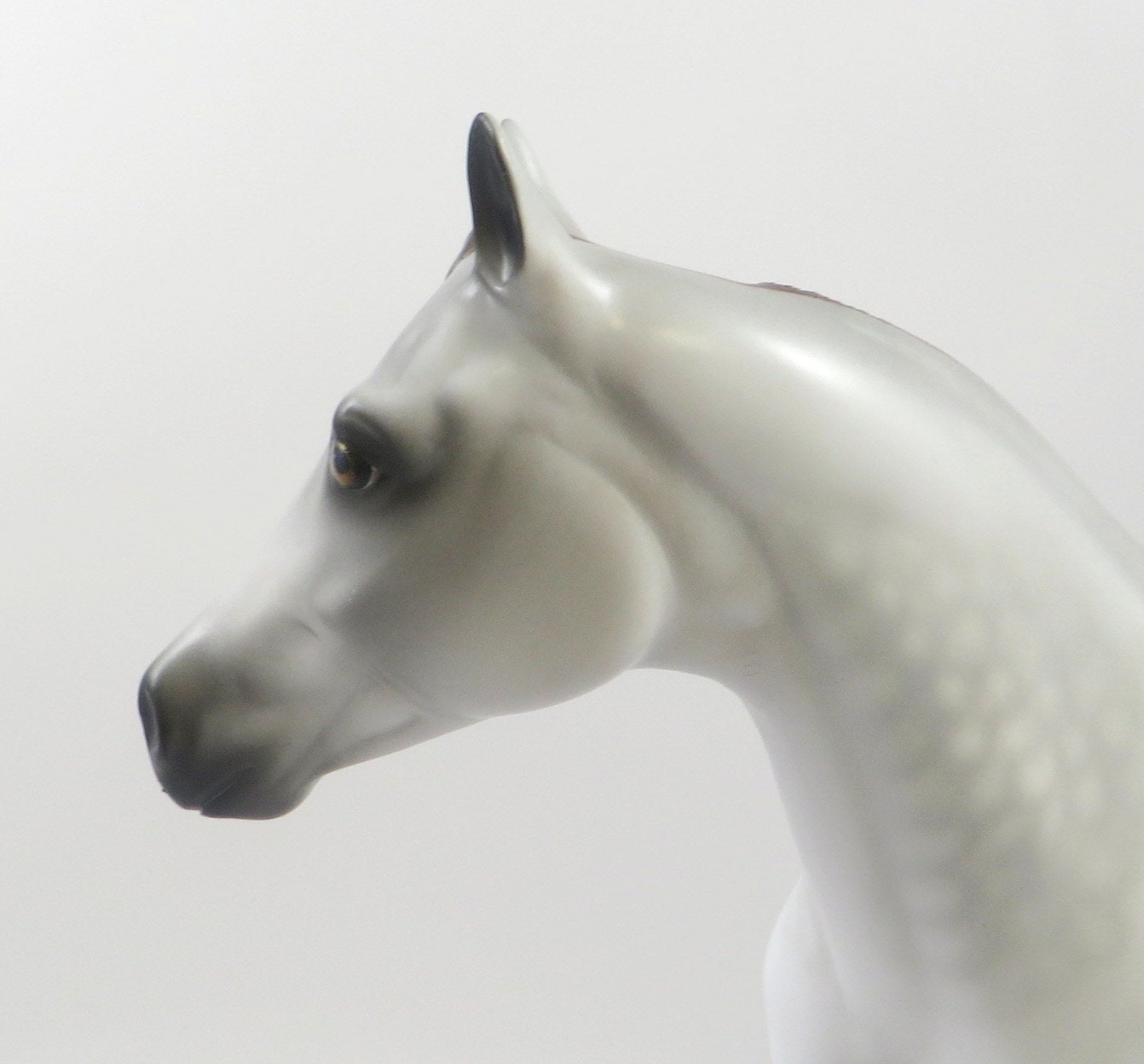 DESTINE TO BE-OOAK MULBERRY GREY ISH MODEL HORSE 7/23/19