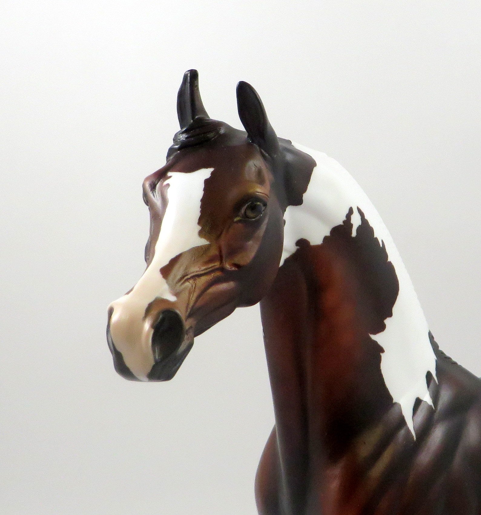 DOLBY-OOAK DAPPLE BAY PAINT ARABIAN MODEL HORSE 7/22/19