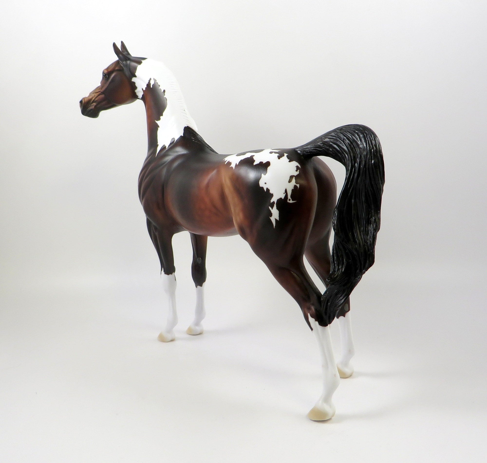 DOLBY-OOAK DAPPLE BAY PAINT ARABIAN MODEL HORSE 7/22/19