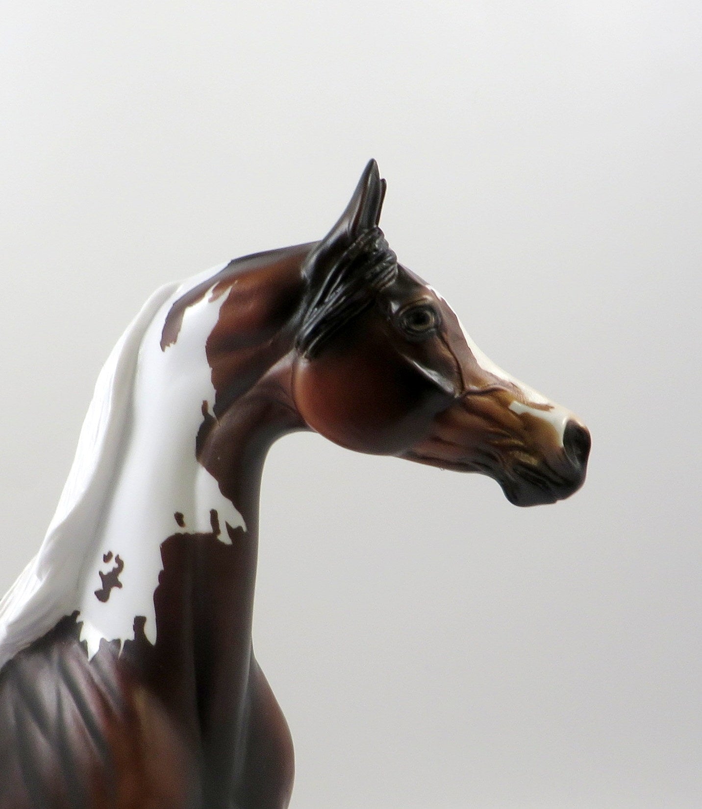DOLBY-OOAK DAPPLE BAY PAINT ARABIAN MODEL HORSE 7/22/19