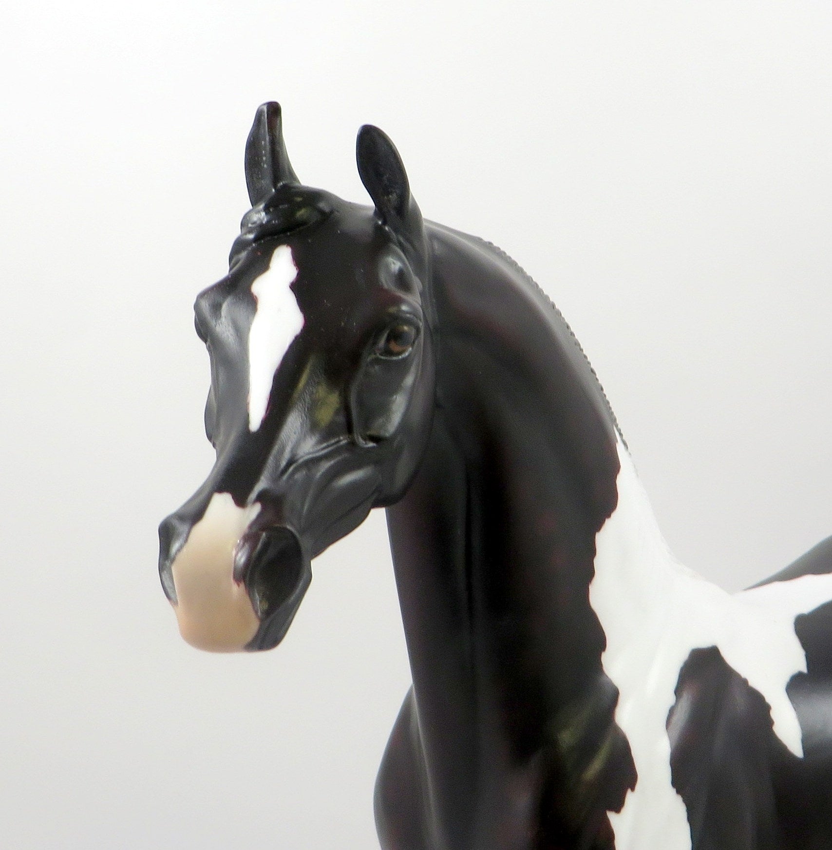 HOWLER-OOAK DAPPLE BLACK PAINT ARABIAN MODEL HORSE 7/23/19