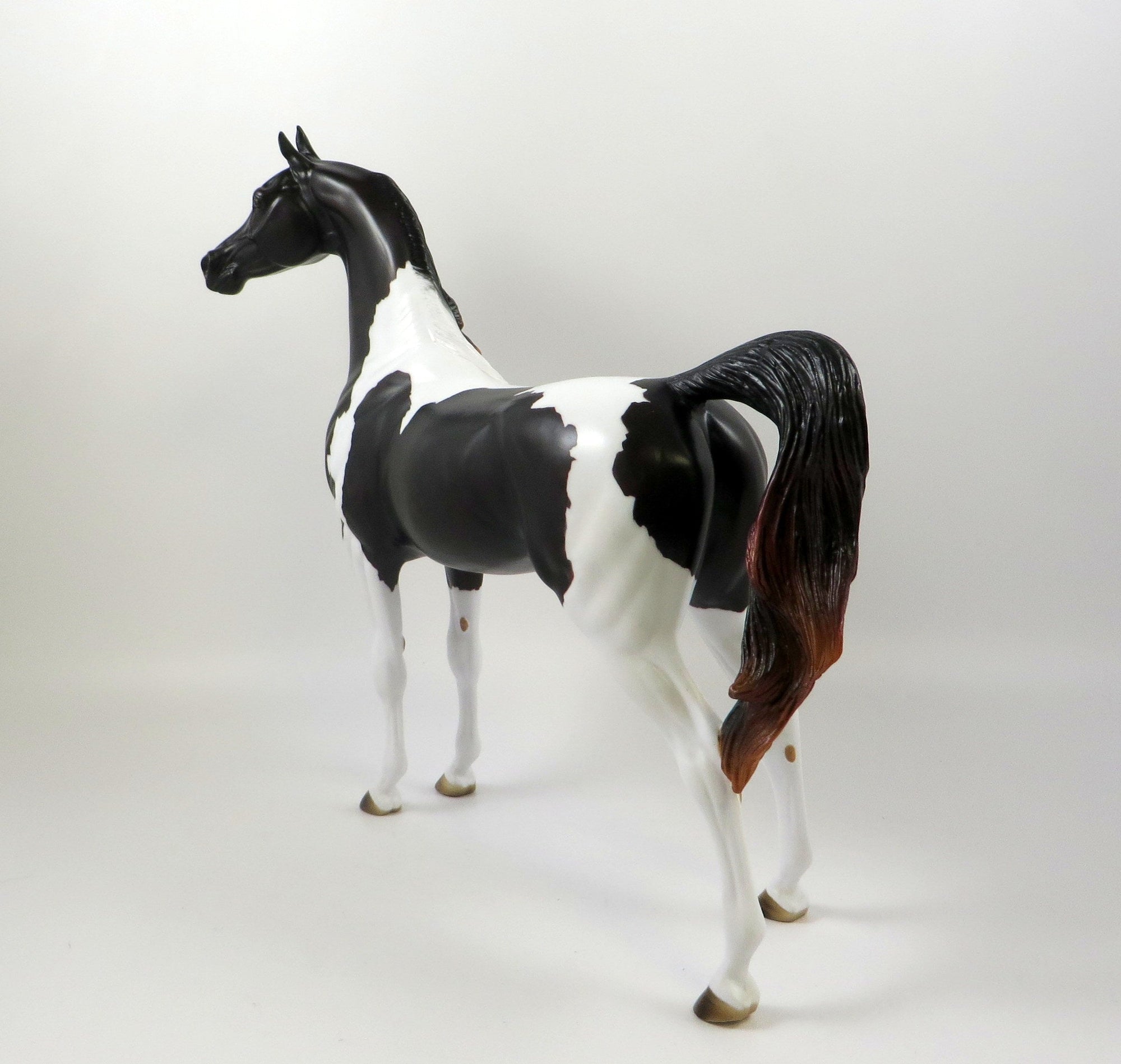 HOWLER-OOAK DAPPLE BLACK PAINT ARABIAN MODEL HORSE 7/23/19