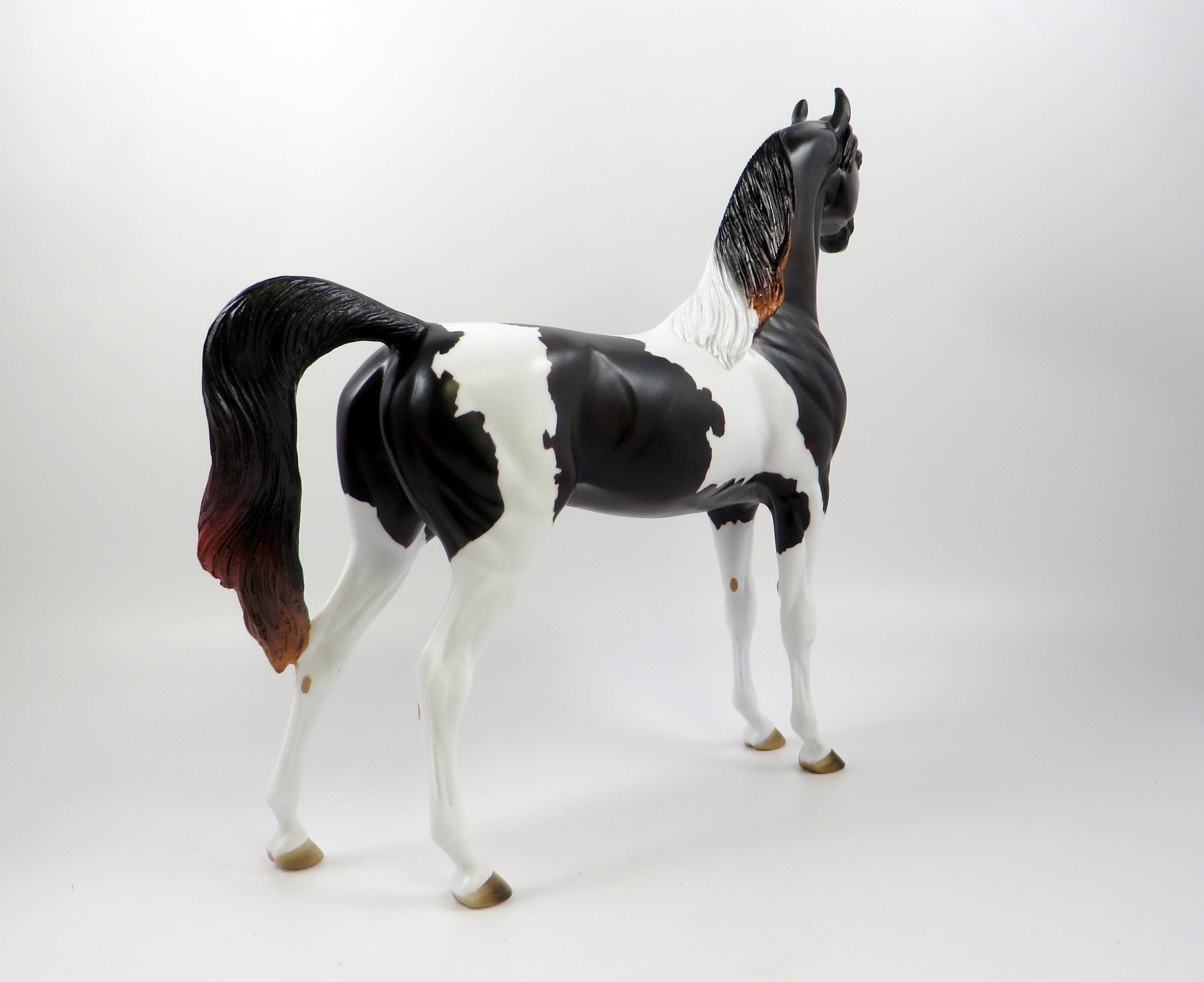HOWLER-OOAK DAPPLE BLACK PAINT ARABIAN MODEL HORSE 7/23/19
