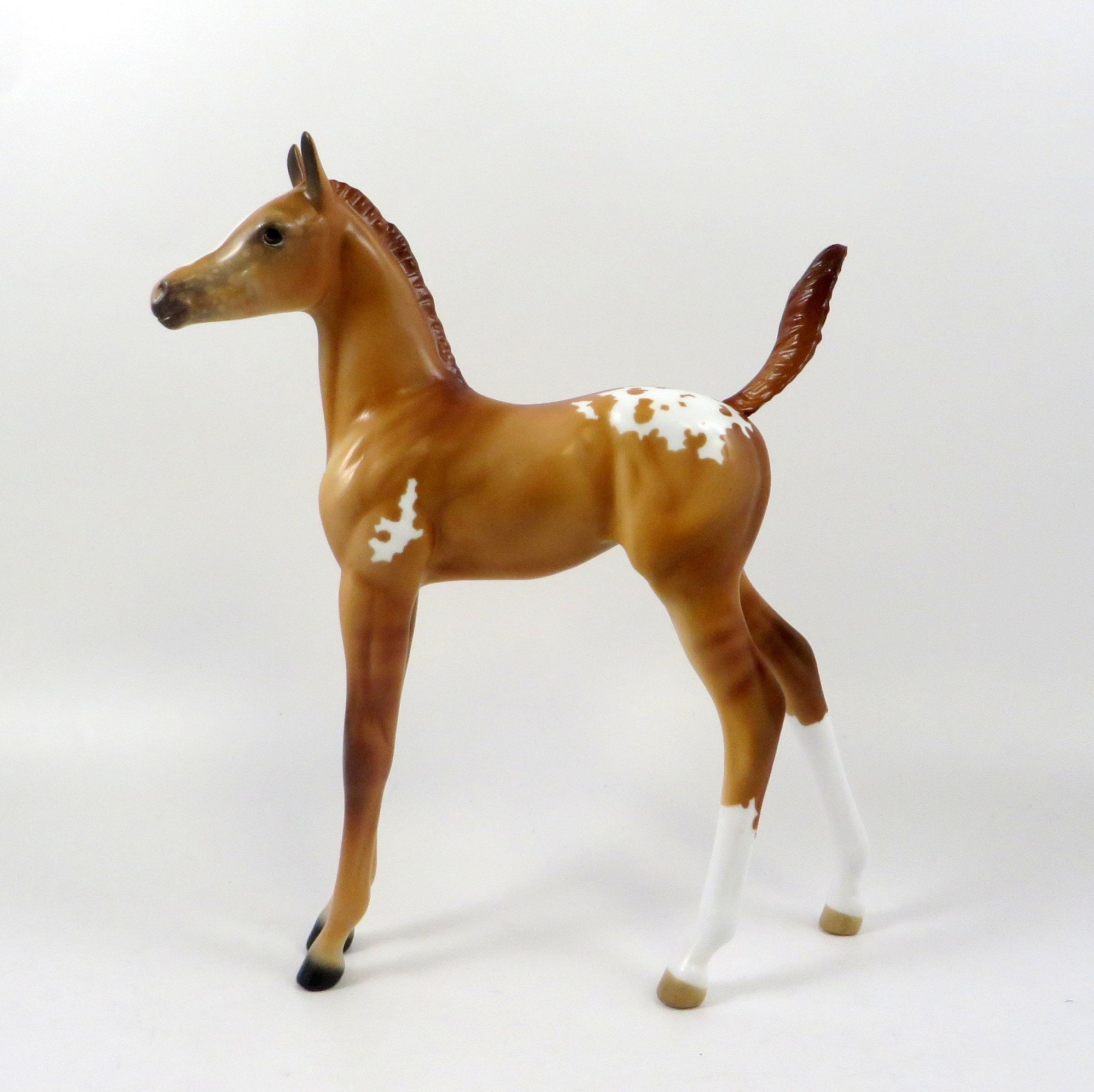 QUAZAR-OOAK RED DUN APPALOOSA FOAL MODEL HORSE 7/24/19