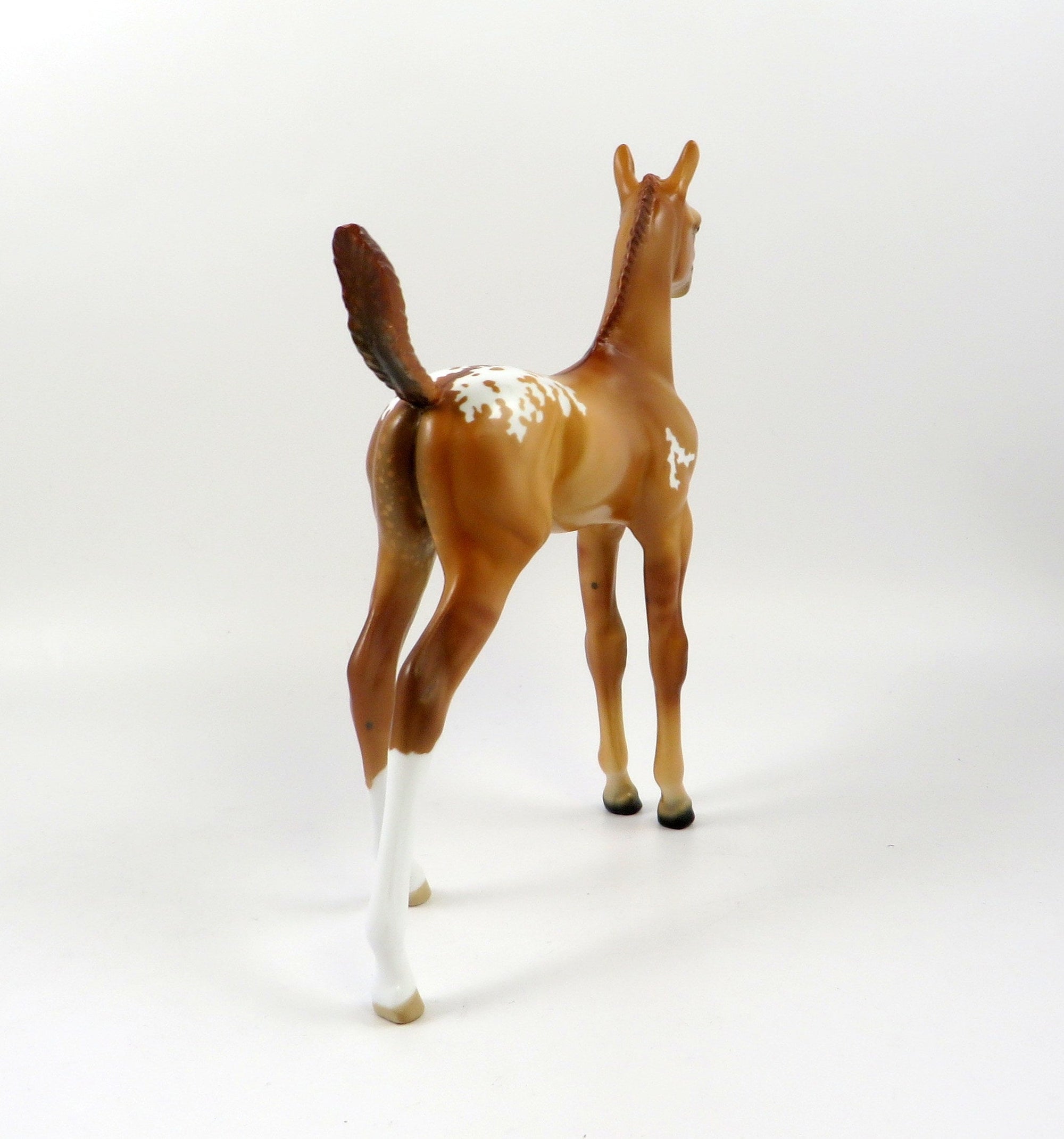 QUAZAR-OOAK RED DUN APPALOOSA FOAL MODEL HORSE 7/24/19