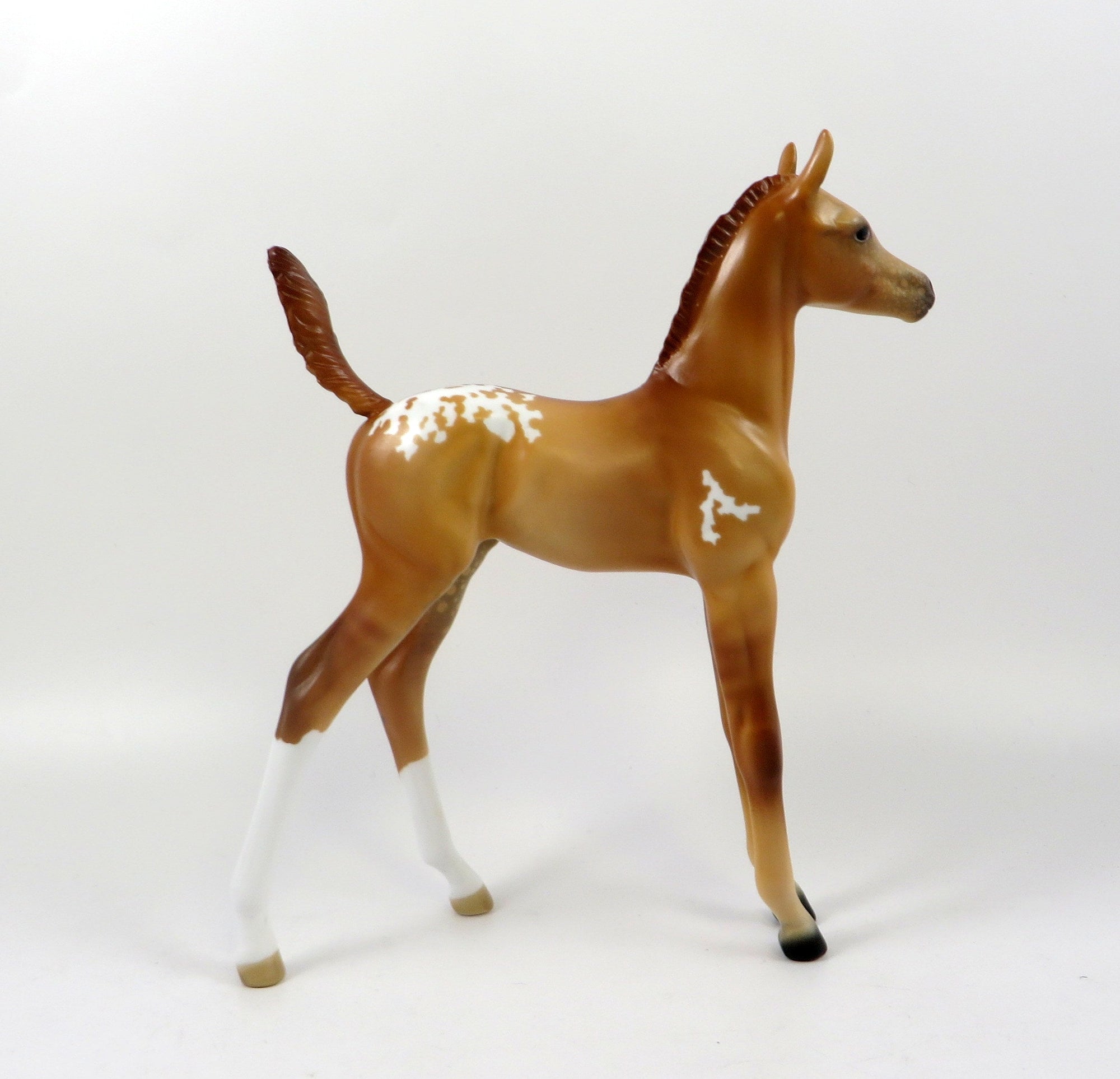 QUAZAR-OOAK RED DUN APPALOOSA FOAL MODEL HORSE 7/24/19