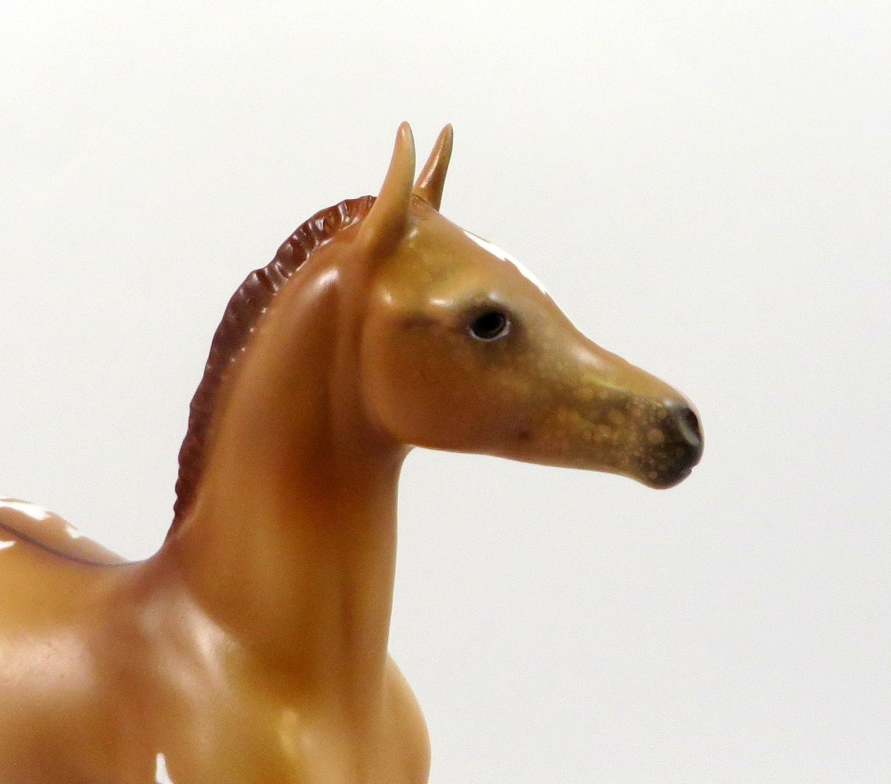 QUAZAR-OOAK RED DUN APPALOOSA FOAL MODEL HORSE 7/24/19