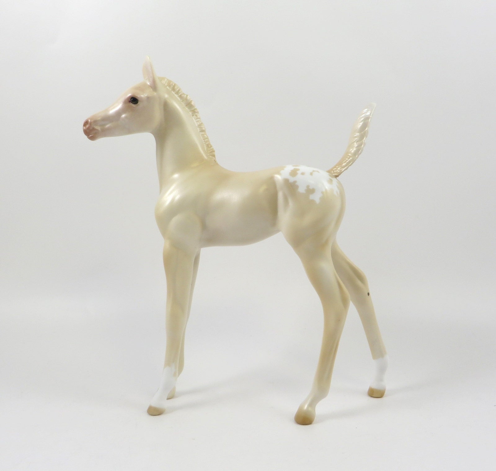 ARAMIS-OOAK PERLINO APPALOSA ARABIAN FOAL MODEL HORSE 7/24/19