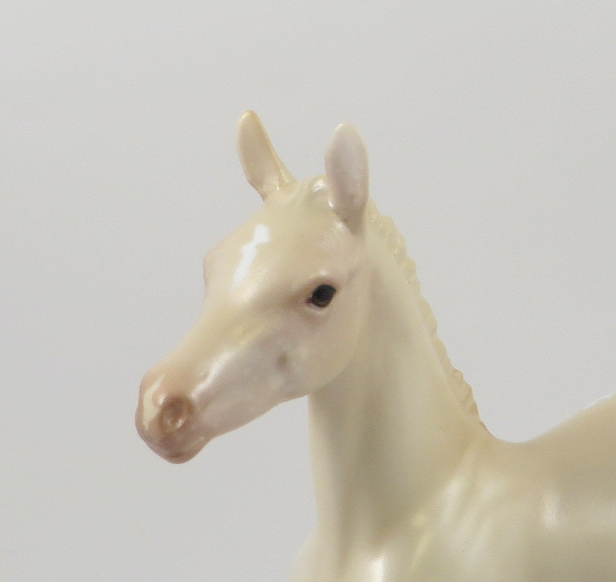 ARAMIS-OOAK PERLINO APPALOSA ARABIAN FOAL MODEL HORSE 7/24/19