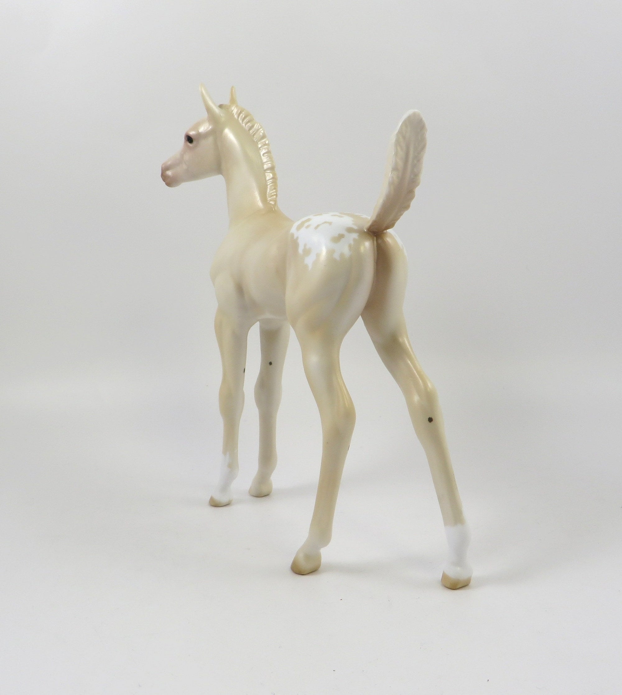 ARAMIS-OOAK PERLINO APPALOSA ARABIAN FOAL MODEL HORSE 7/24/19