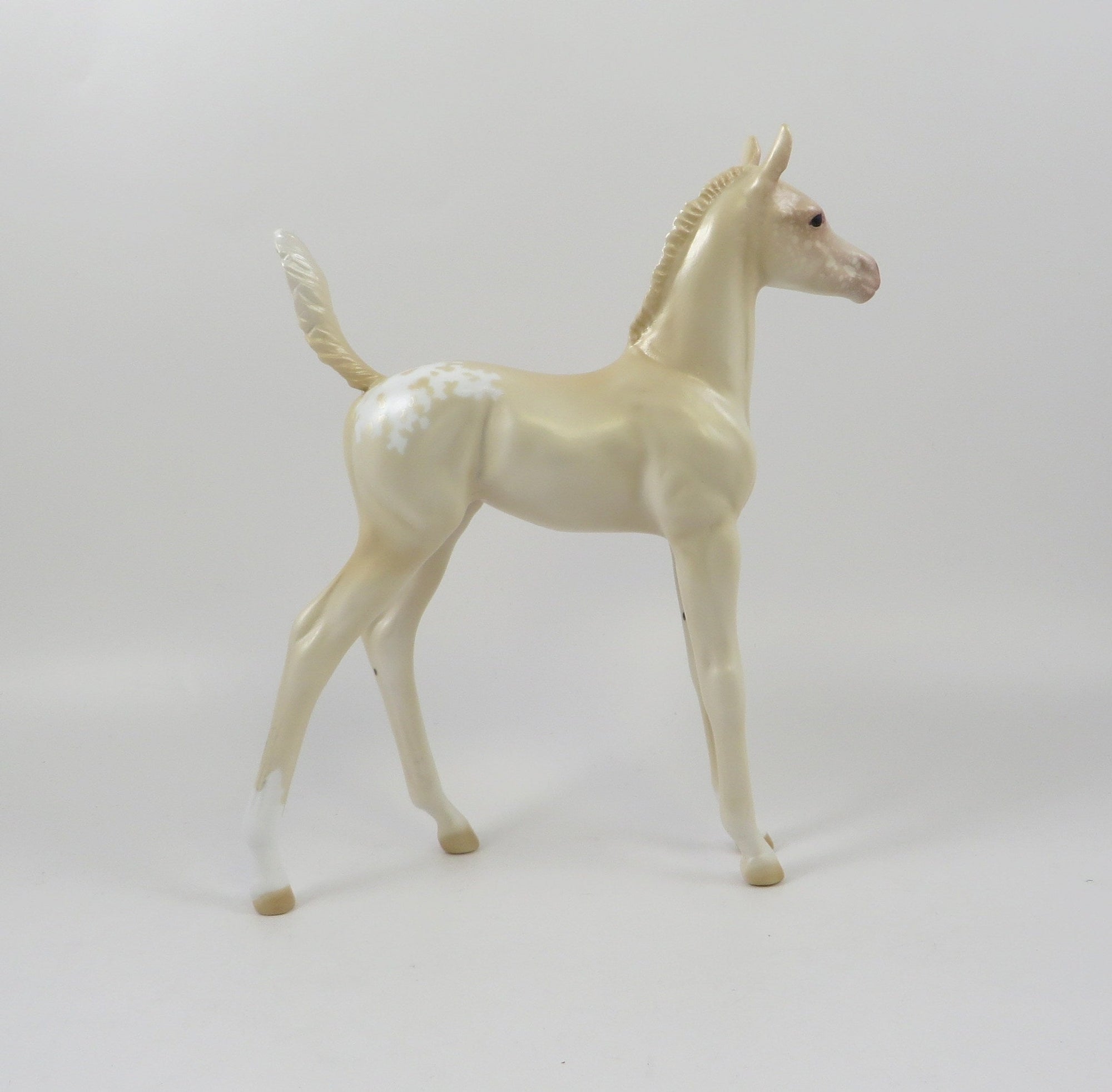 ARAMIS-OOAK PERLINO APPALOSA ARABIAN FOAL MODEL HORSE 7/24/19