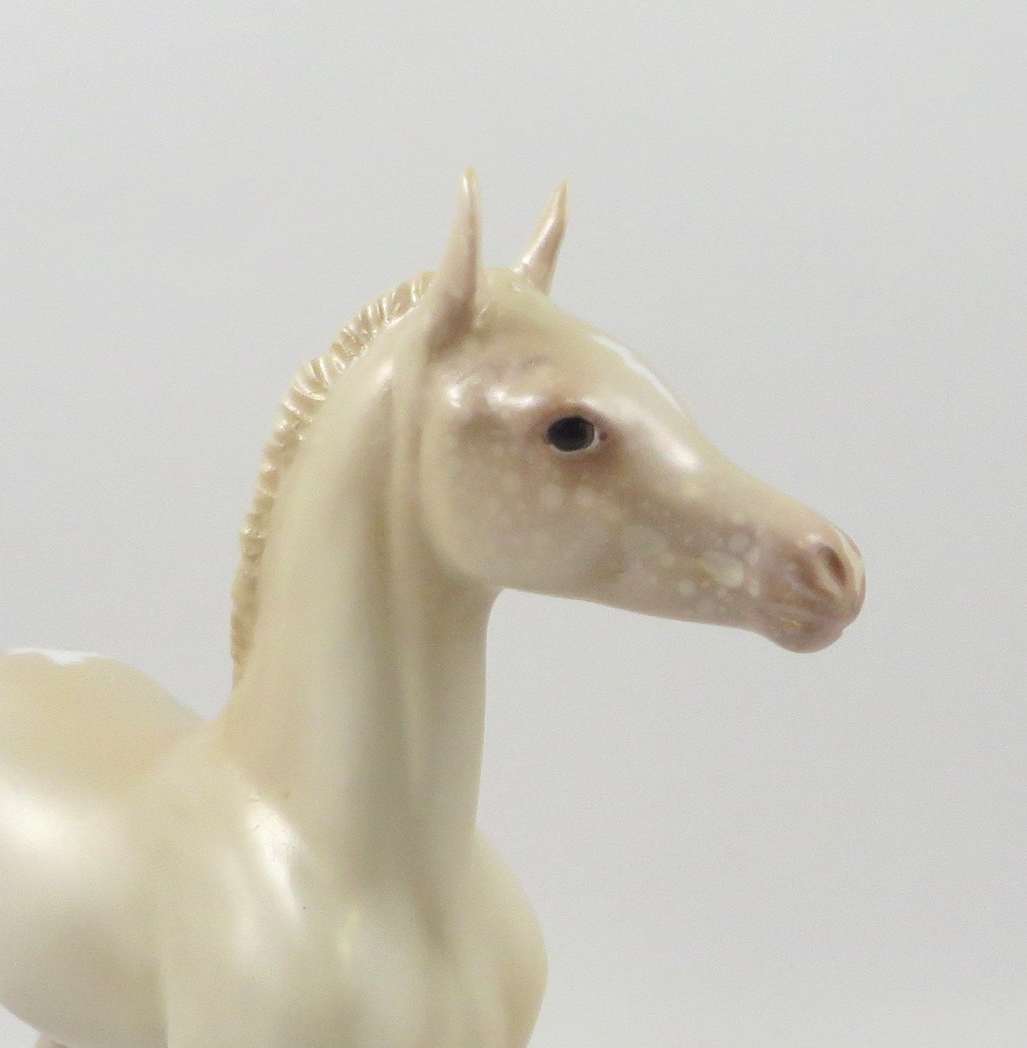 ARAMIS-OOAK PERLINO APPALOSA ARABIAN FOAL MODEL HORSE 7/24/19