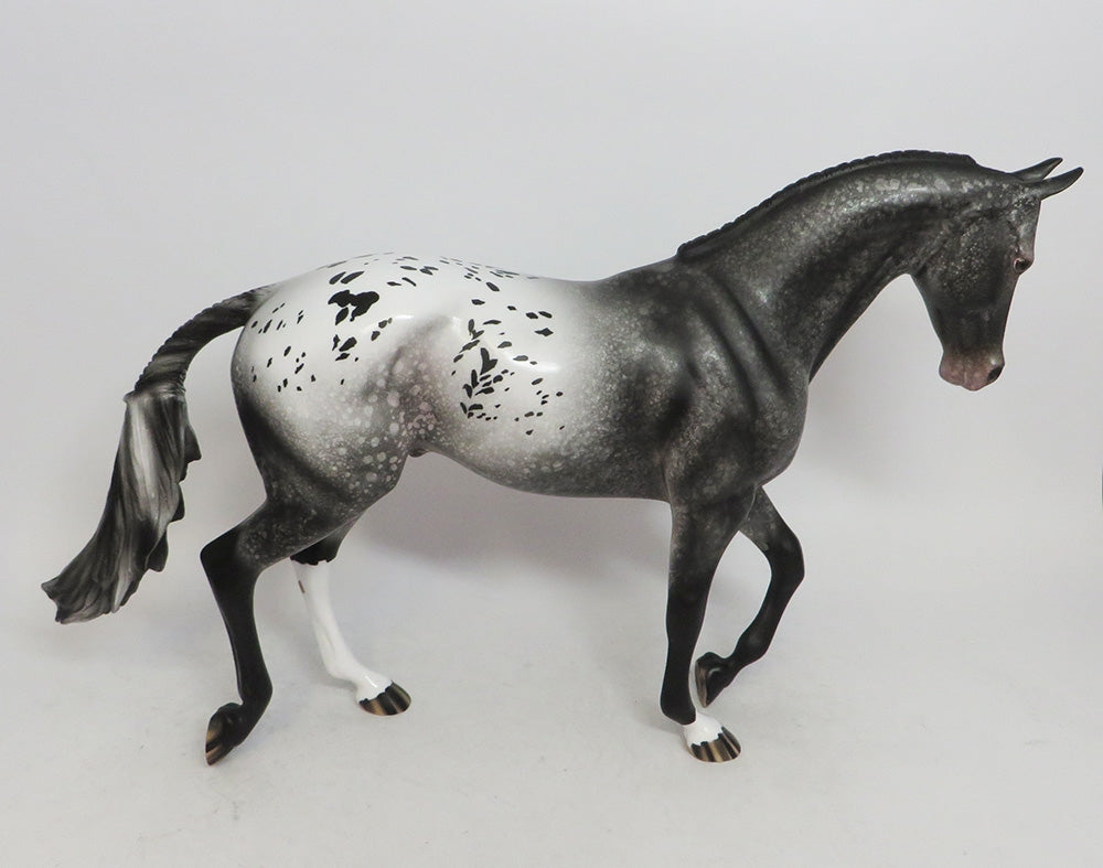 BLACK FRIDAY THANKFUL SPOTS-LE-10 APPALOOSA THOROUGHBRED