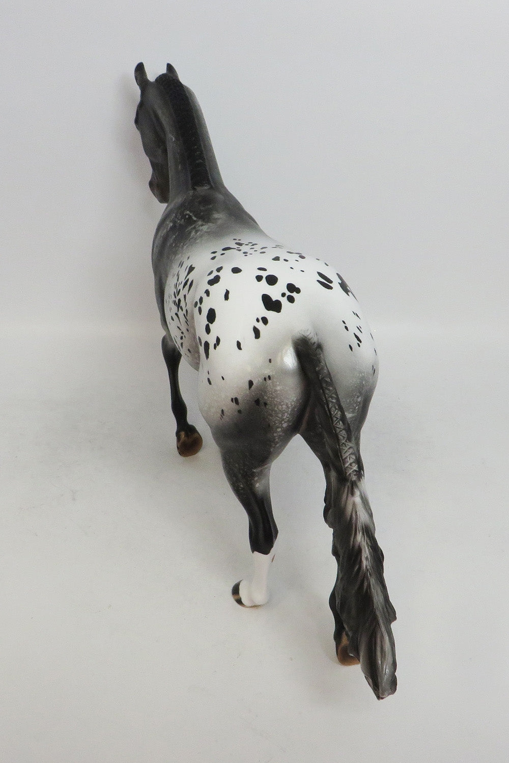 BLACK FRIDAY THANKFUL SPOTS-LE-10 APPALOOSA THOROUGHBRED