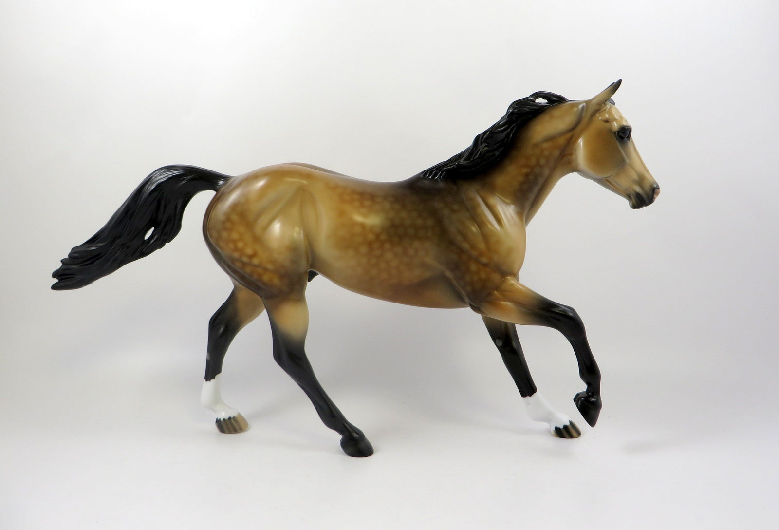 YOU MIGHT WONDER-OOAK DAPPLE BUCKSKIN FOUNDATION QUARTER HORSE 7/24/19