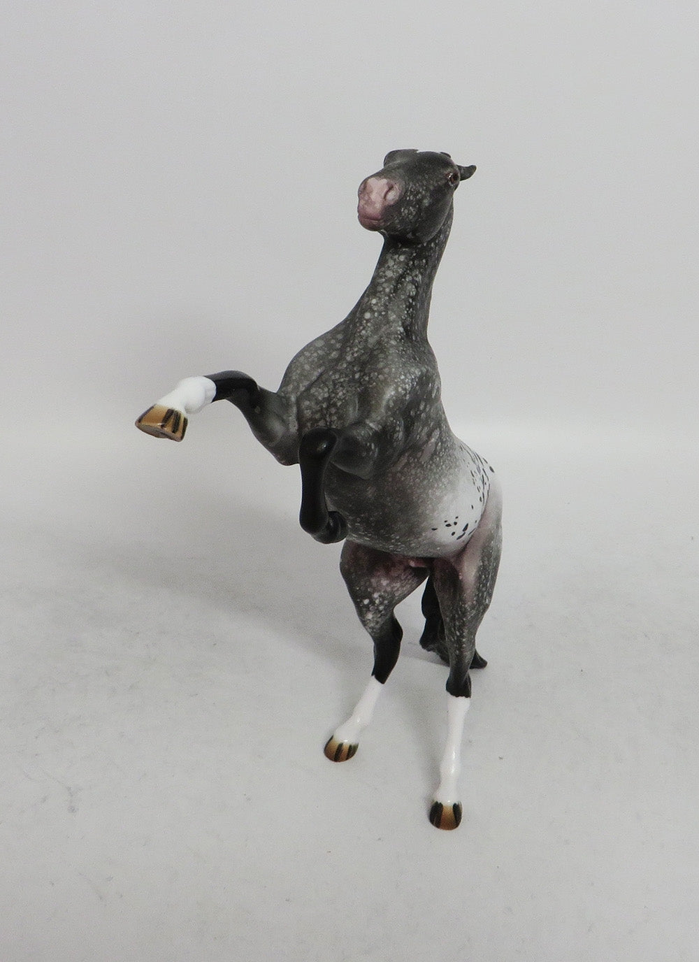 CYBER MONDAY-THANKFUL HEART REARING PEBBLES PRE-ORDER