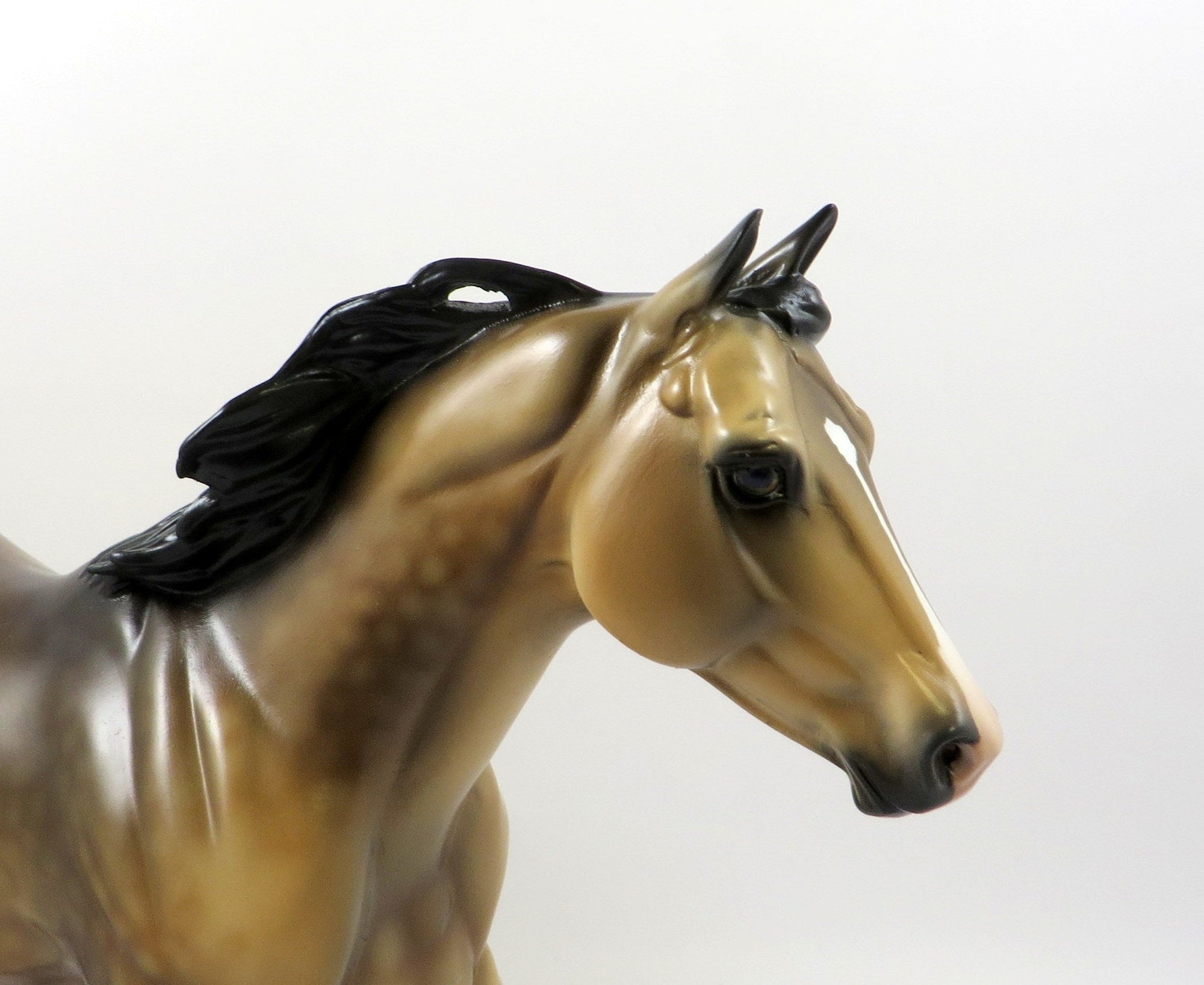 YOU MIGHT WONDER-OOAK DAPPLE BUCKSKIN FOUNDATION QUARTER HORSE 7/24/19