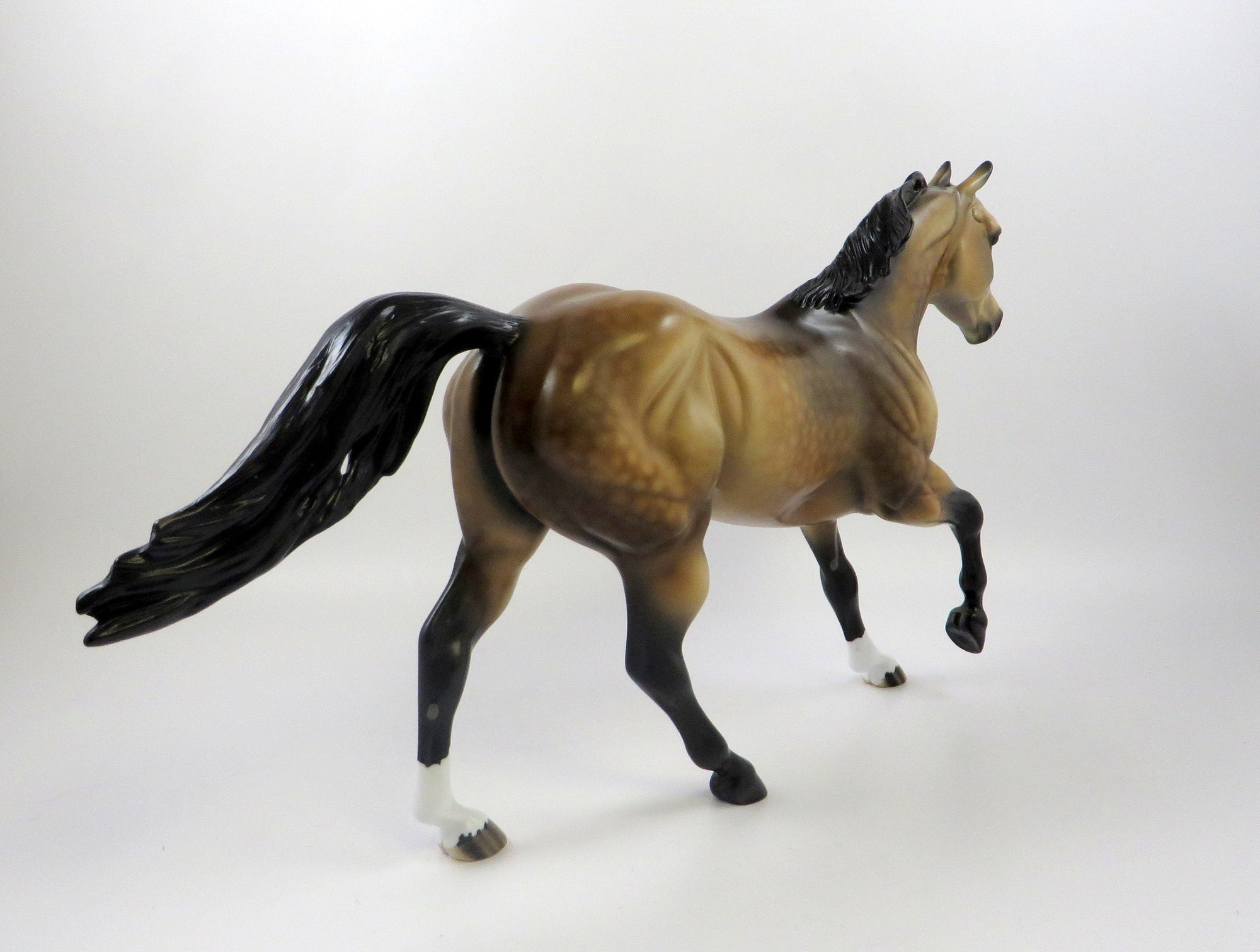 YOU MIGHT WONDER-OOAK DAPPLE BUCKSKIN FOUNDATION QUARTER HORSE 7/24/19