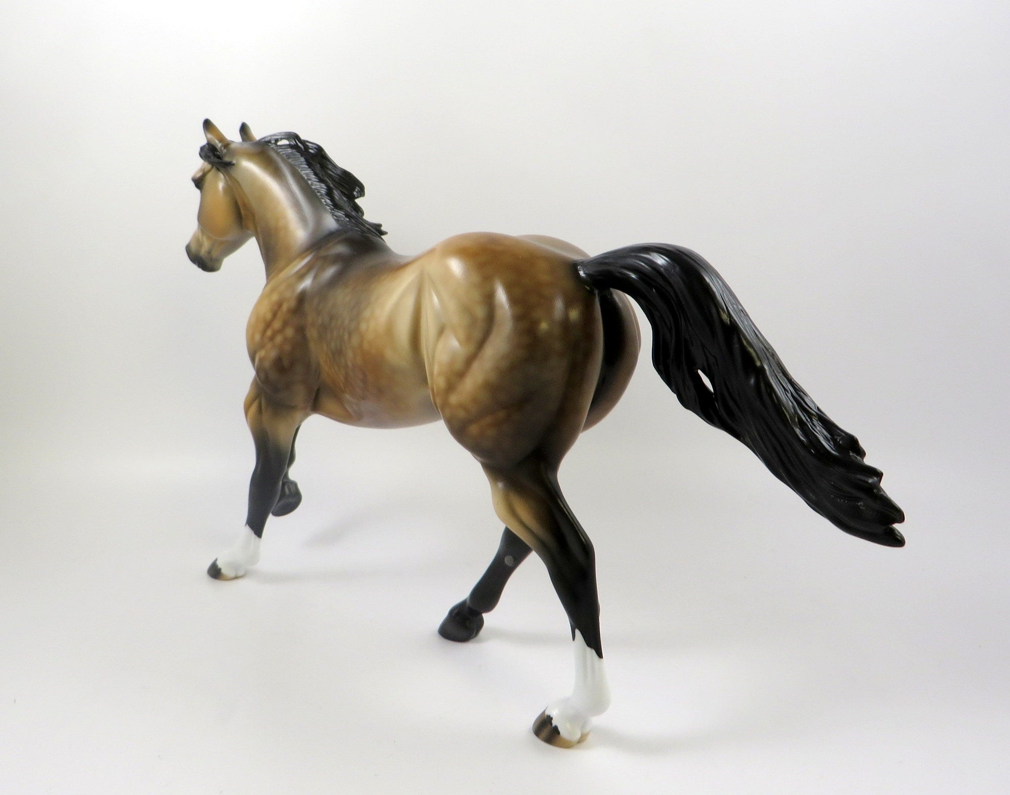 YOU MIGHT WONDER-OOAK DAPPLE BUCKSKIN FOUNDATION QUARTER HORSE 7/24/19