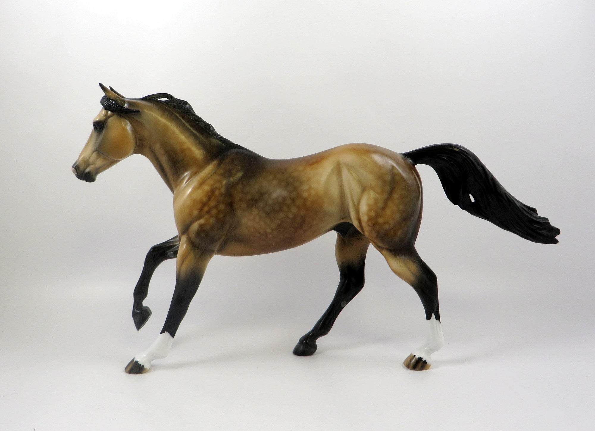 YOU MIGHT WONDER-OOAK DAPPLE BUCKSKIN FOUNDATION QUARTER HORSE 7/24/19