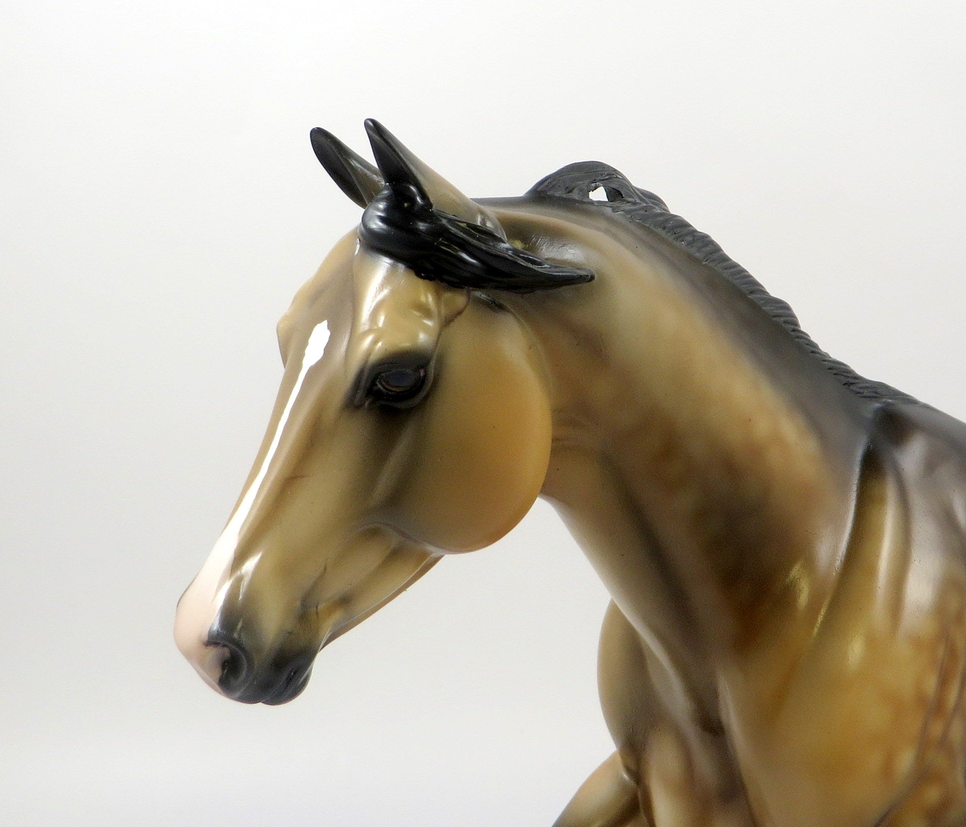 YOU MIGHT WONDER-OOAK DAPPLE BUCKSKIN FOUNDATION QUARTER HORSE 7/24/19