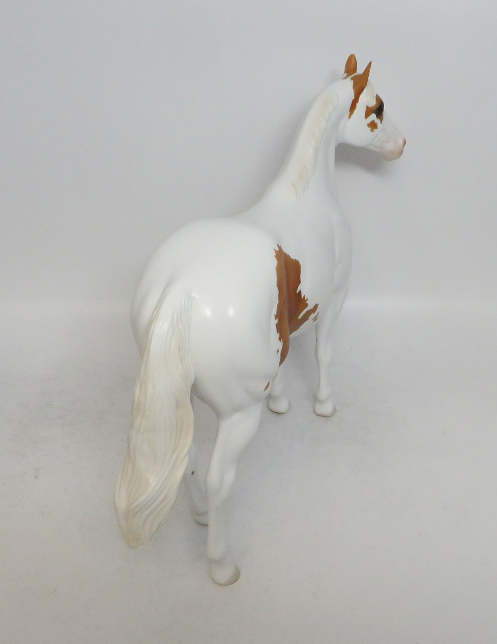 CHRISTMAS COOKIE- LE-5 PALOMINO ISH WHS2018