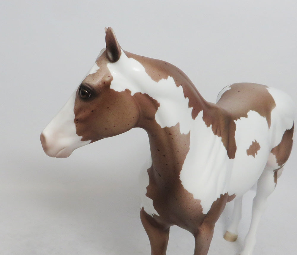 SNICKER DOODLE-LE-5 ISH CHESTNUT ROAN WHS 2018