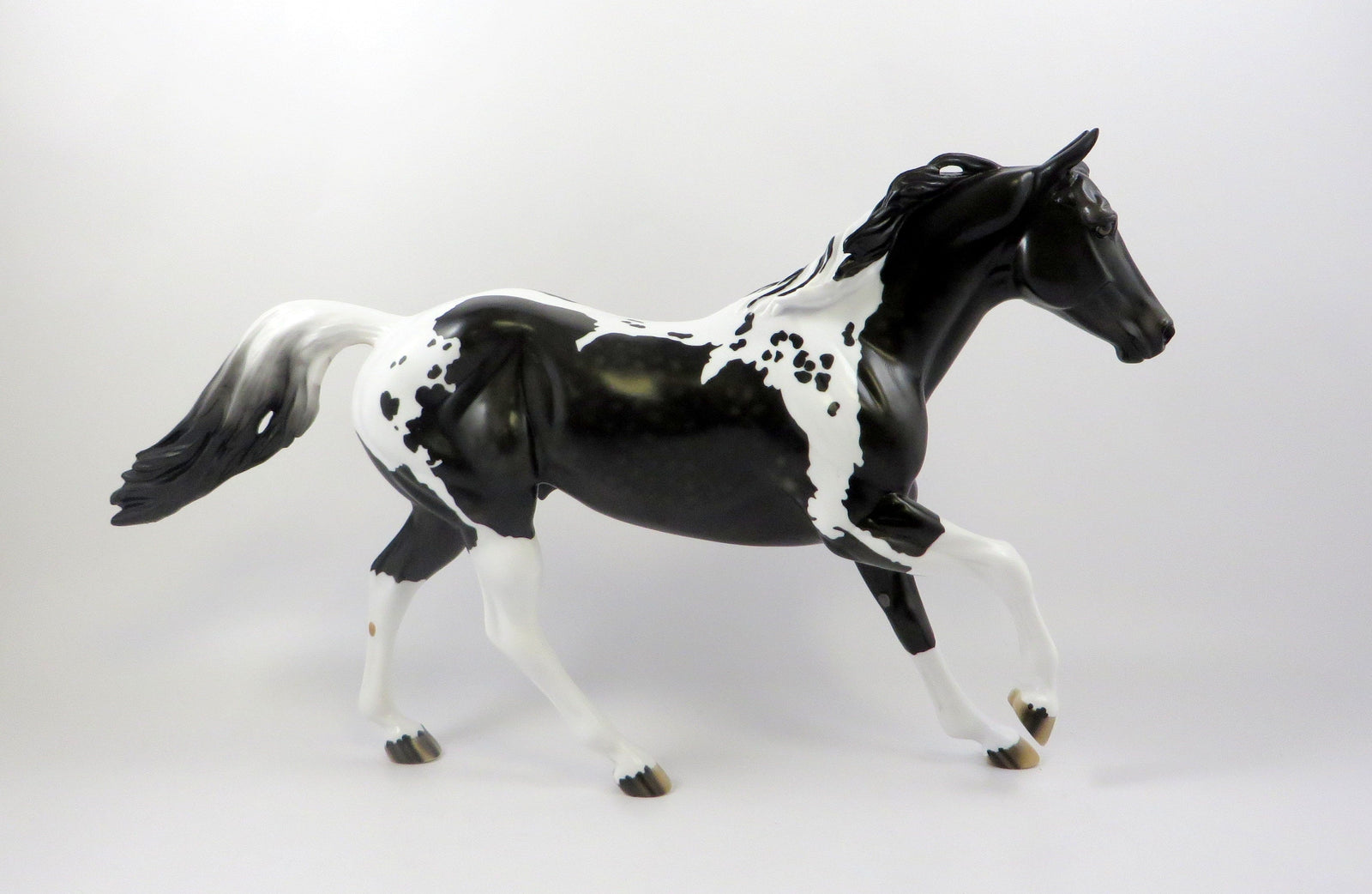 WHAT A WONDER - OOAK DAPPLE BLACK PAINT FOUNDATION QUARTER HORSE 7/24/19