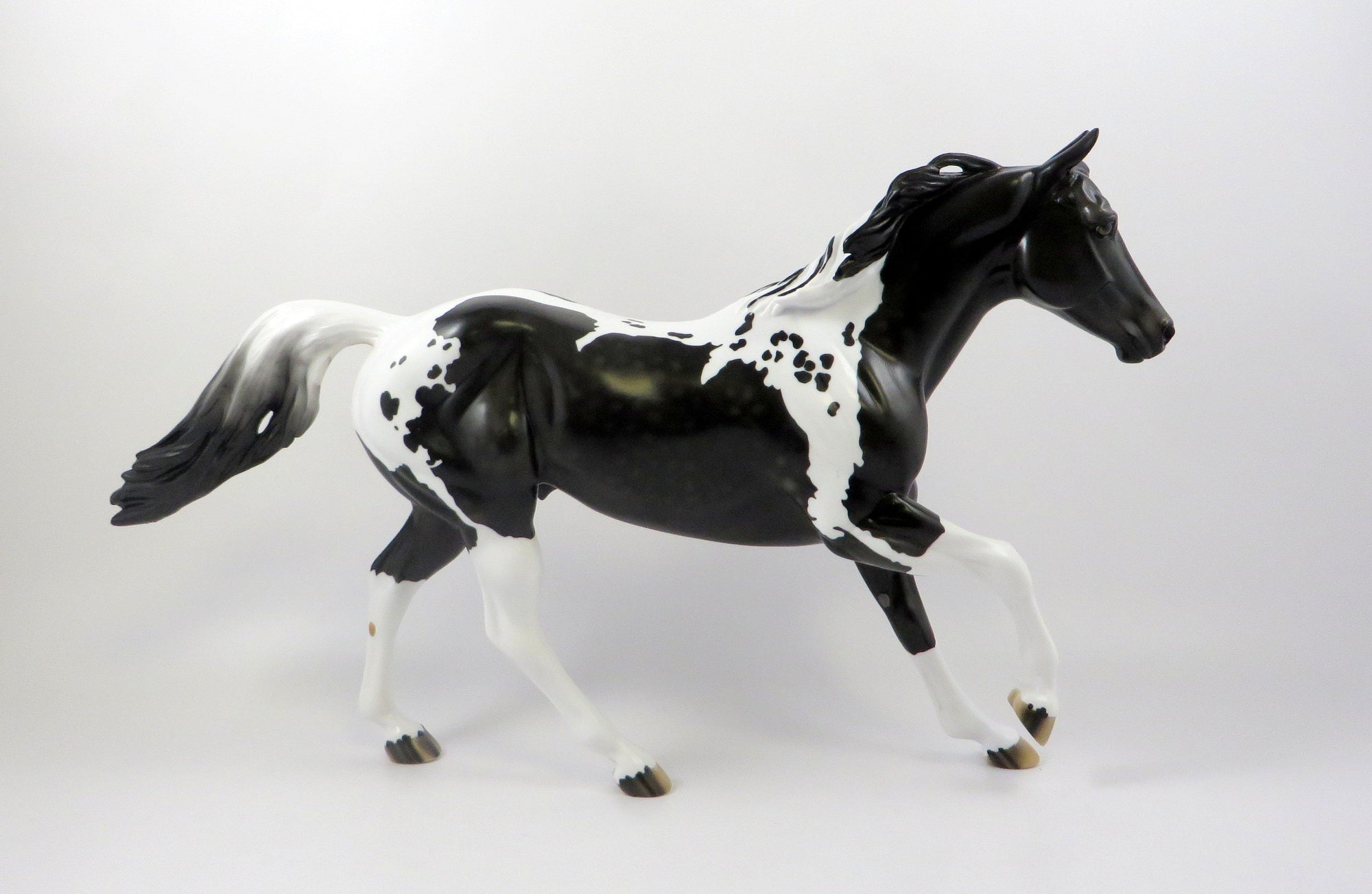 WHAT A WONDER - OOAK DAPPLE BLACK PAINT FOUNDATION QUARTER HORSE 7/24/19