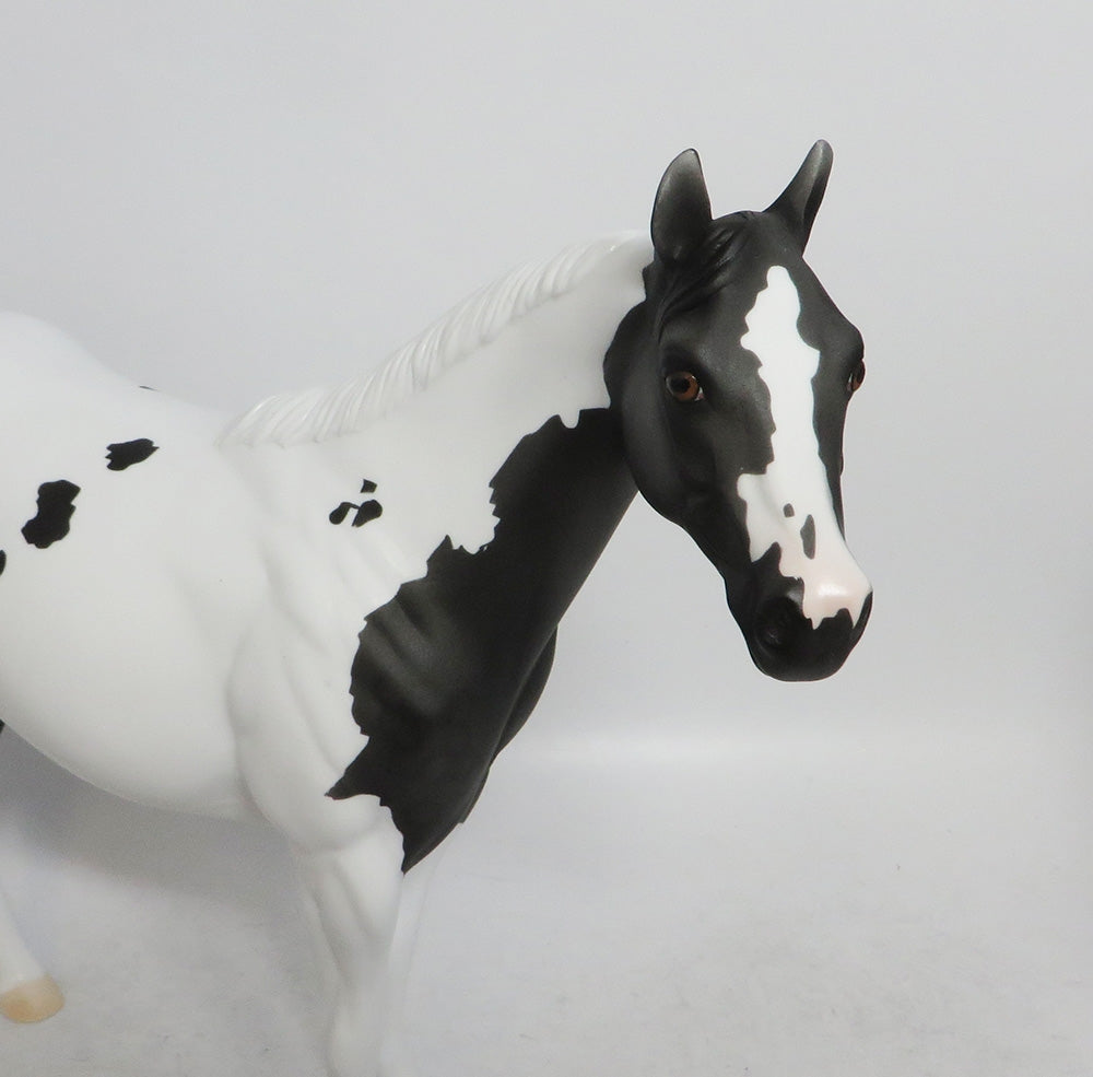 CHARCOAL-LE-5 ISH DAPPLED  GREY WHS 2018