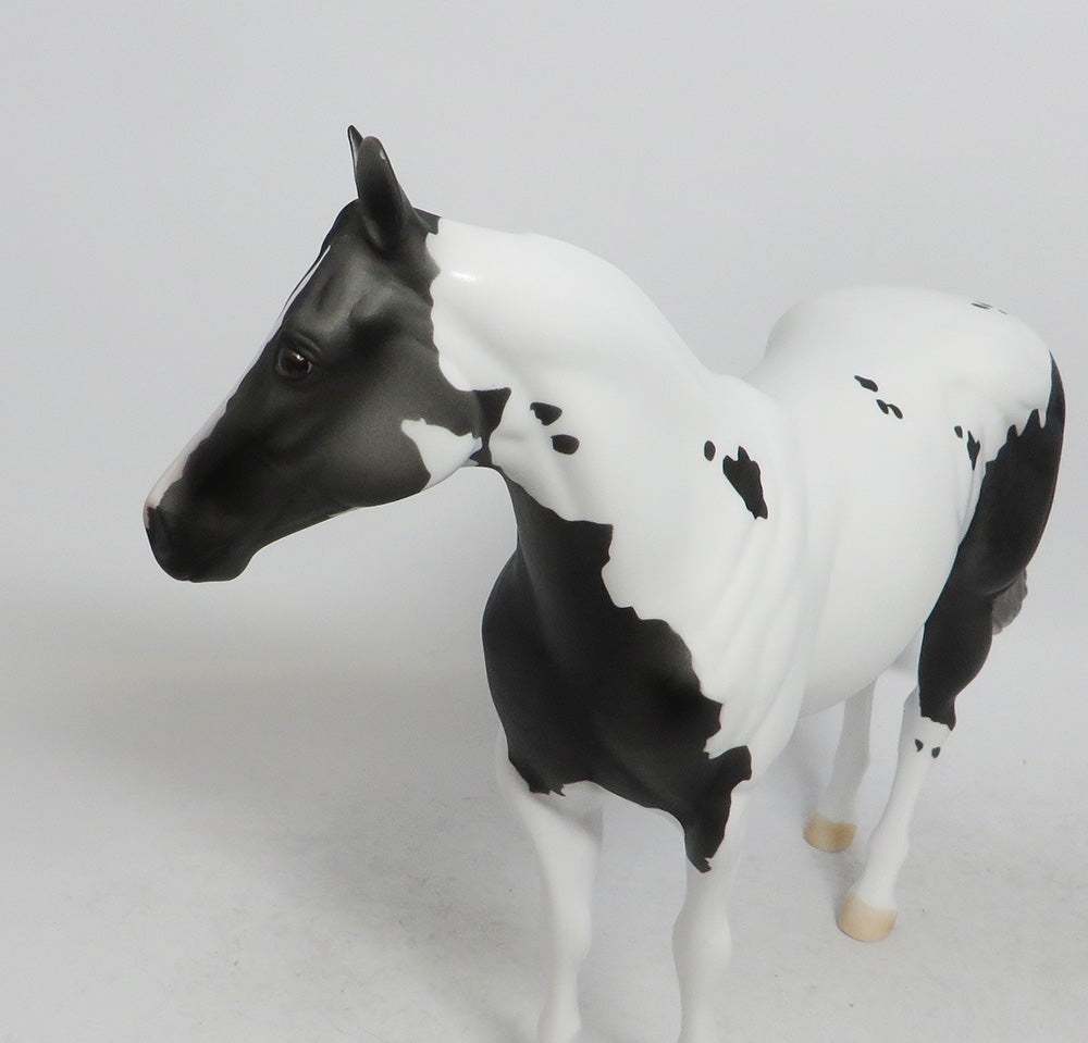 CHARCOAL-LE-5 ISH DAPPLED  GREY WHS 2018