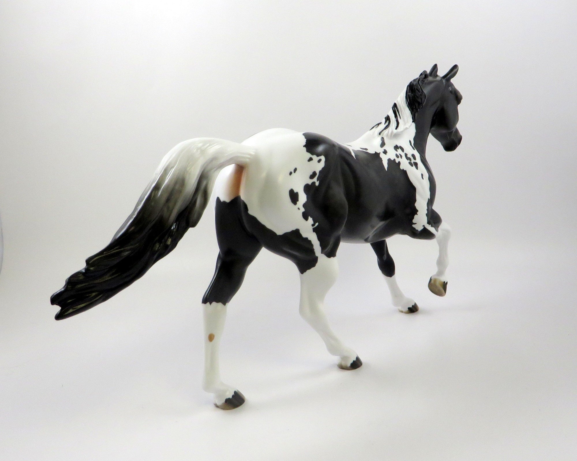 WHAT A WONDER - OOAK DAPPLE BLACK PAINT FOUNDATION QUARTER HORSE 7/24/19