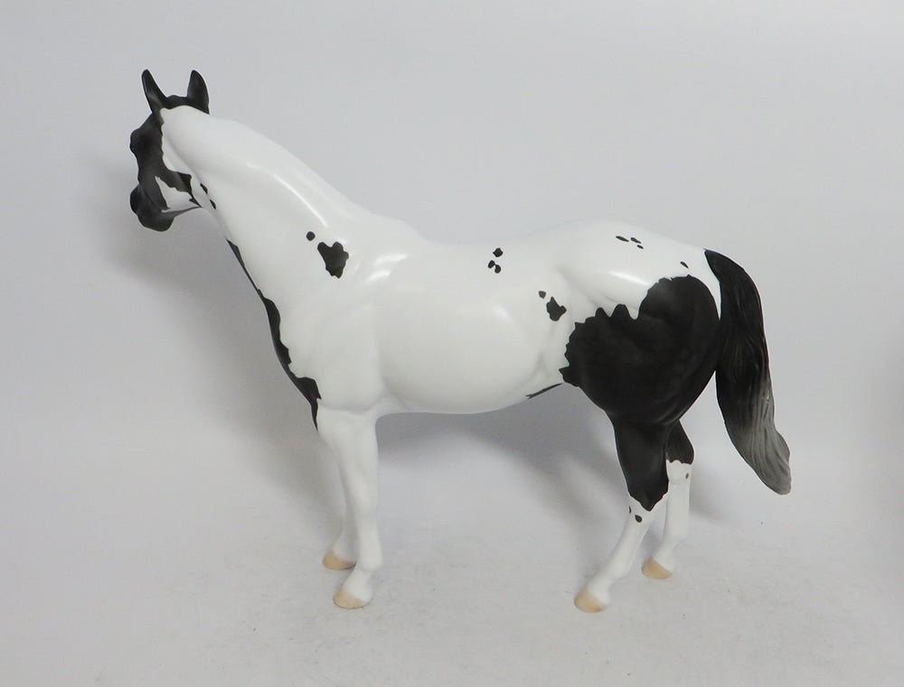 CHARCOAL-LE-5 ISH DAPPLED  GREY WHS 2018