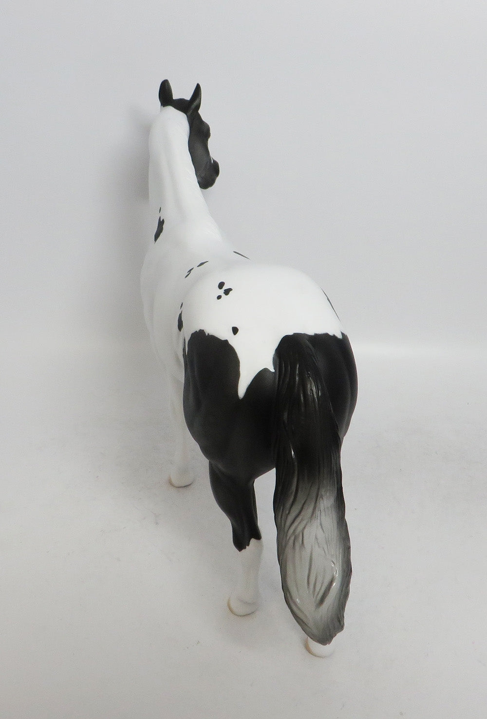 CHARCOAL-LE-5 ISH DAPPLED  GREY WHS 2018