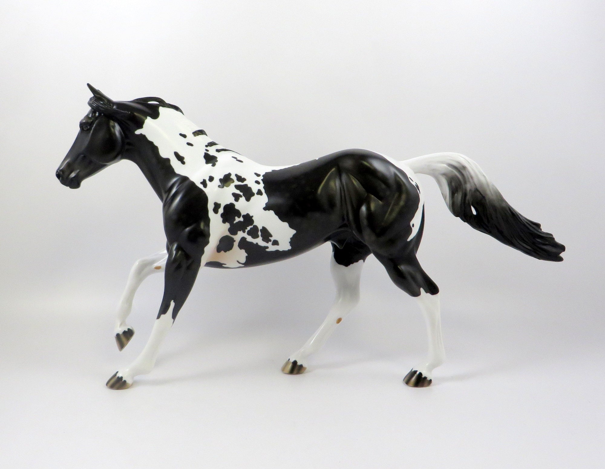 WHAT A WONDER - OOAK DAPPLE BLACK PAINT FOUNDATION QUARTER HORSE 7/24/19