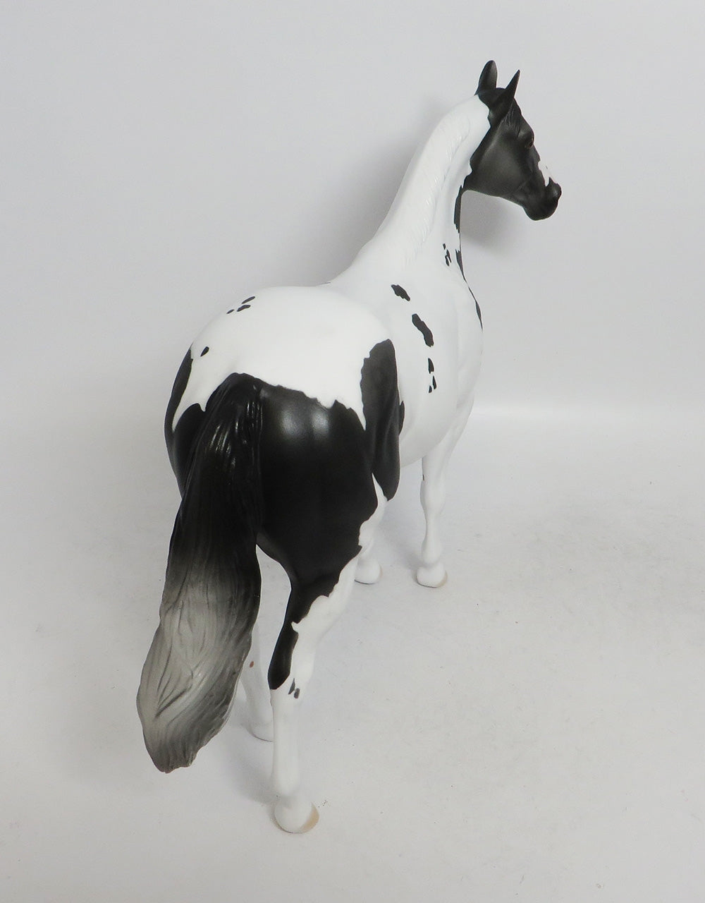 CHARCOAL-LE-5 ISH DAPPLED  GREY WHS 2018