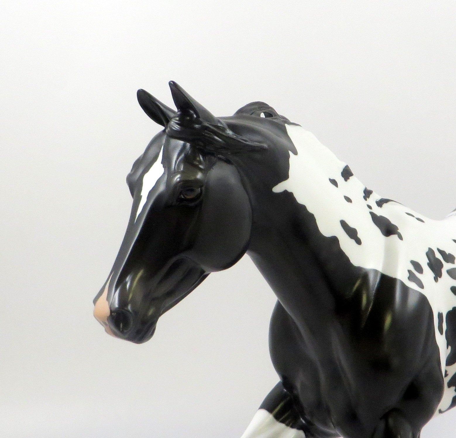 WHAT A WONDER - OOAK DAPPLE BLACK PAINT FOUNDATION QUARTER HORSE 7/24/19