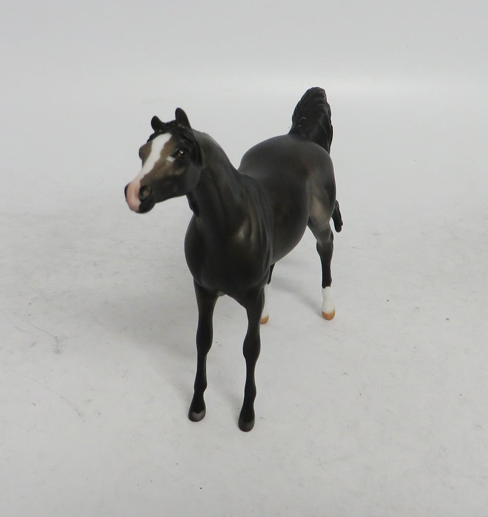 WINTER WONDERLAND - LE10 CUSTOM DARK DAPPLE GREY ARABIAN CHIP WHS 2018