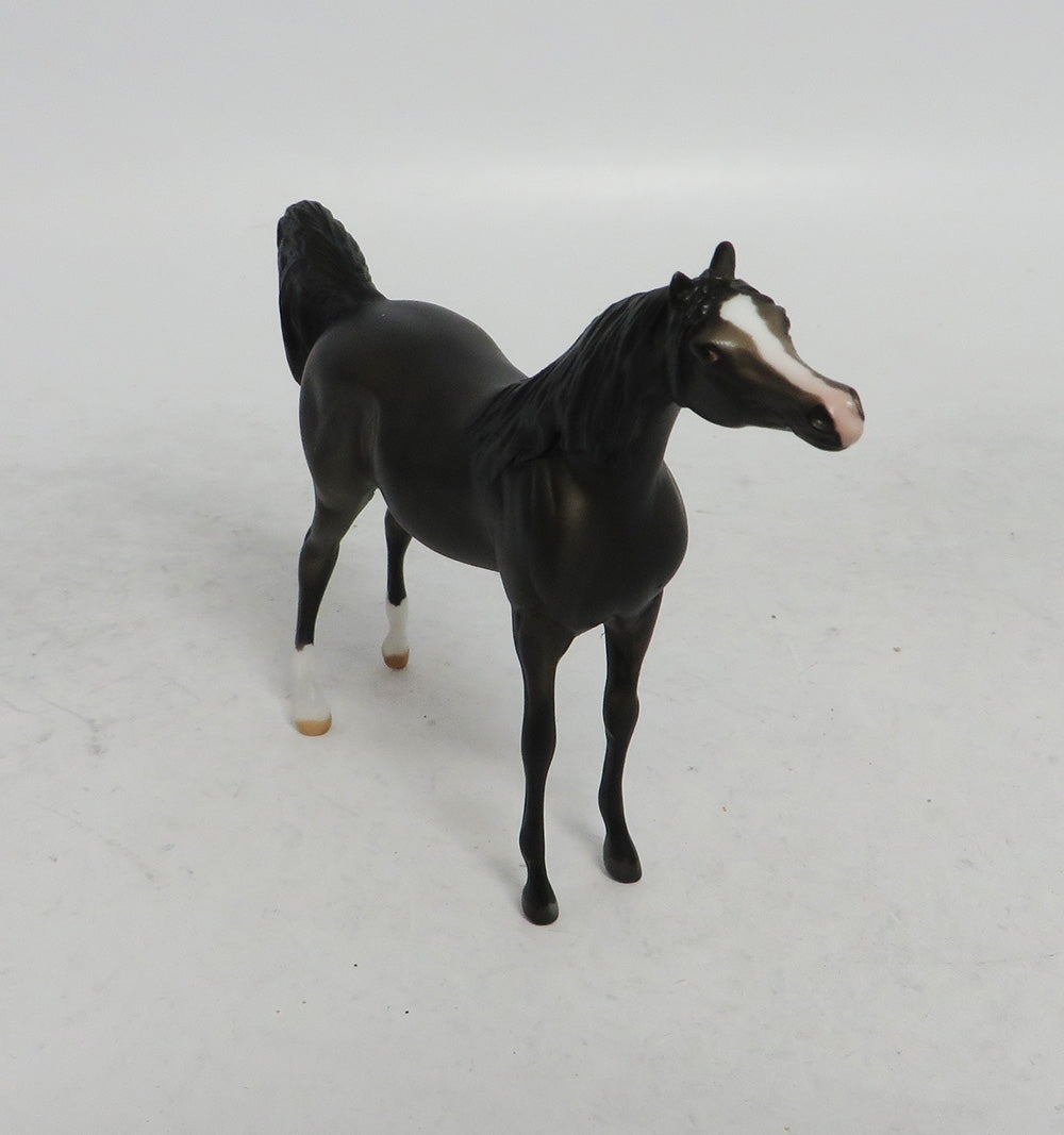 WINTER WONDERLAND - LE10 CUSTOM DARK DAPPLE GREY ARABIAN CHIP WHS 2018