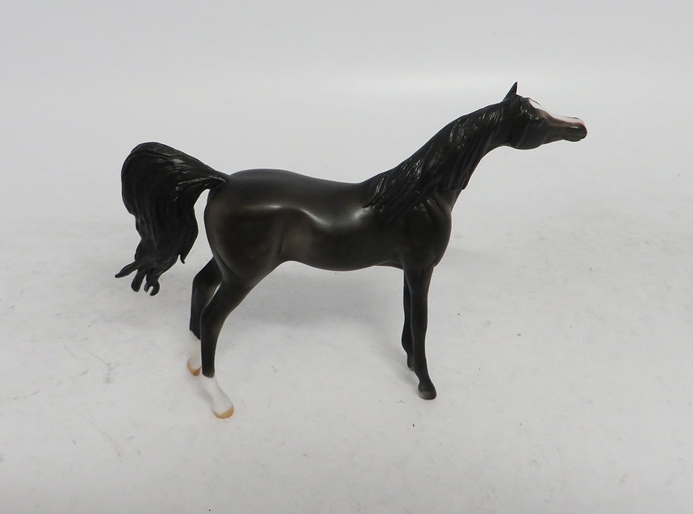 WINTER WONDERLAND - LE10 CUSTOM DARK DAPPLE GREY ARABIAN CHIP WHS 2018