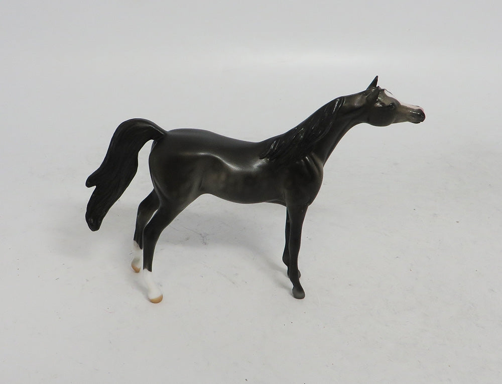 WINTER WONDERLAND - LE10 DARK DAPPLE GREY ARABIAN CHIP WHS 2018