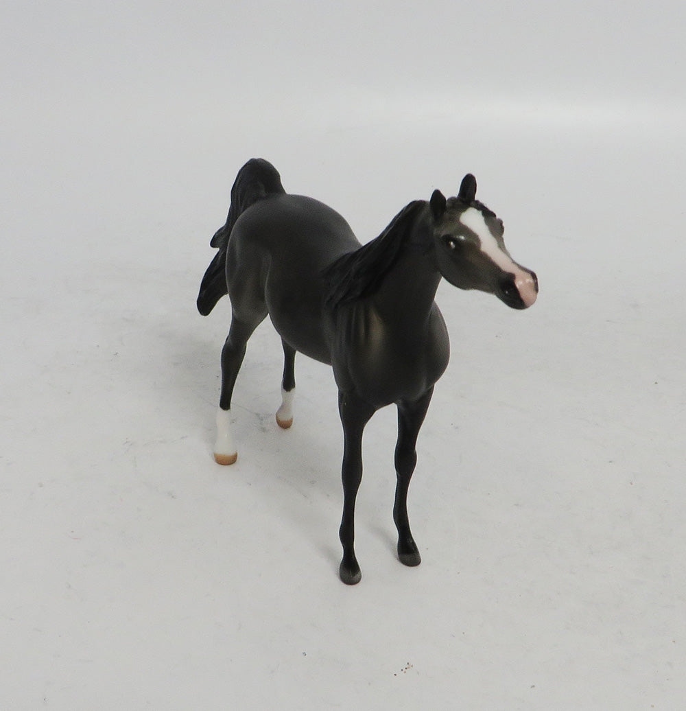 WINTER WONDERLAND - LE10 DARK DAPPLE GREY ARABIAN CHIP WHS 2018