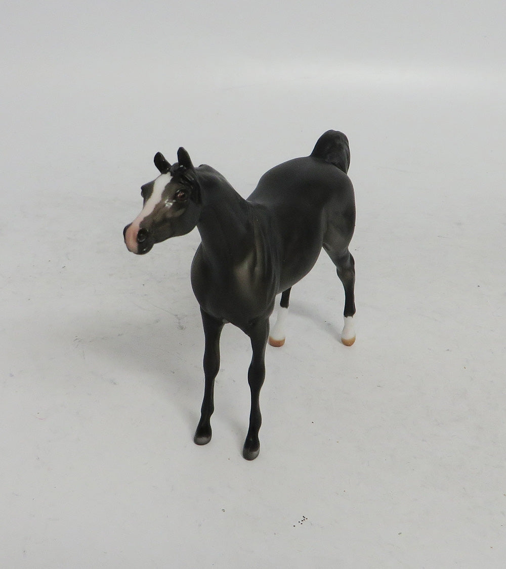WINTER WONDERLAND - LE10 DARK DAPPLE GREY ARABIAN CHIP WHS 2018