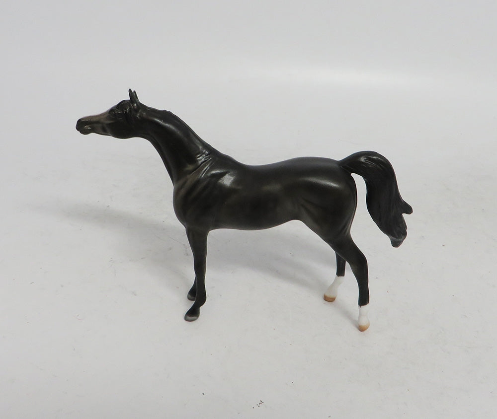 WINTER WONDERLAND - LE10 DARK DAPPLE GREY ARABIAN CHIP WHS 2018