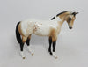 EPHILEDES-LE-15 CUSTOM WEANLING BUCKSKIN PINTALOOSA WHS2018